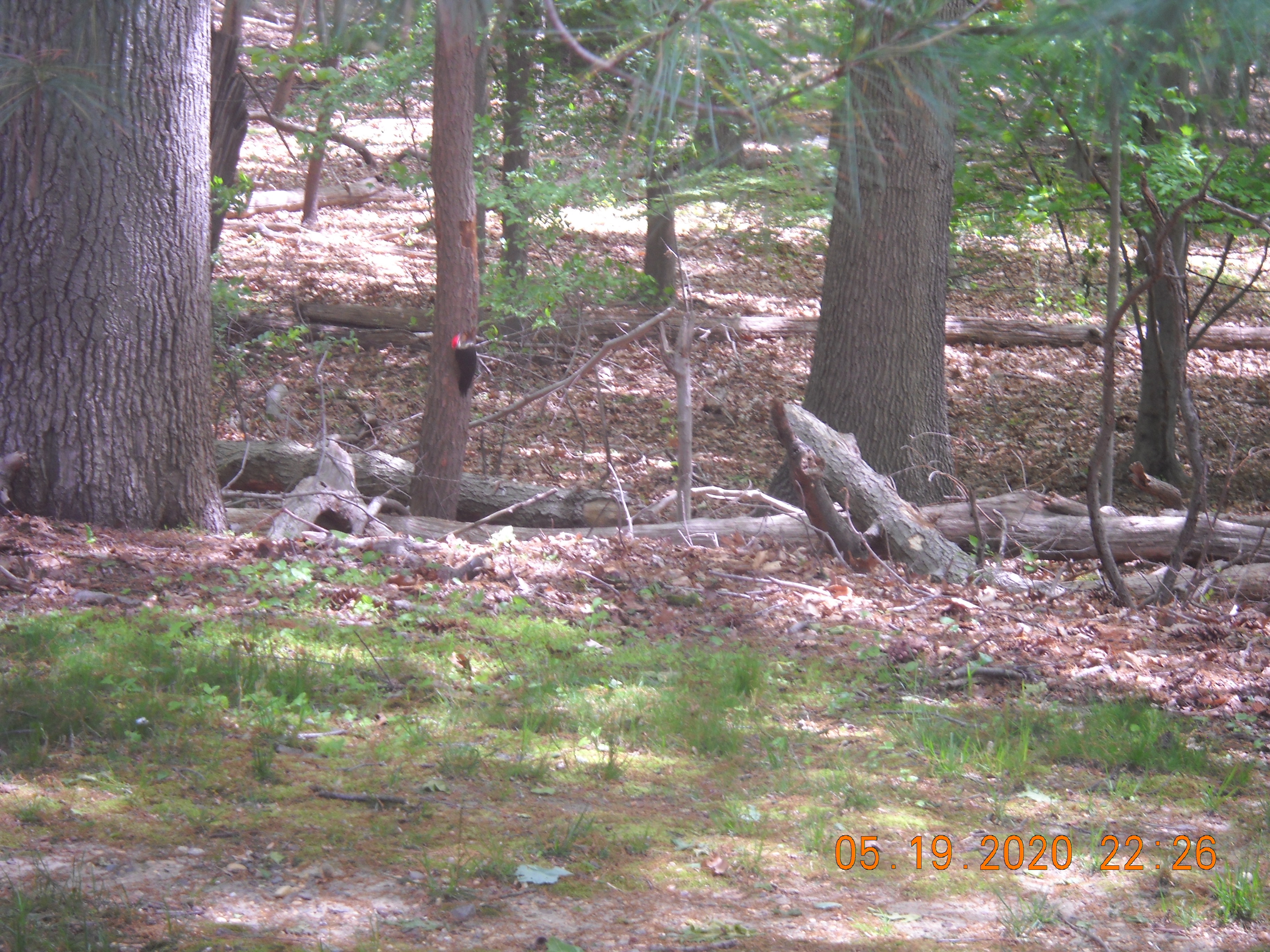 Additional Image 4
