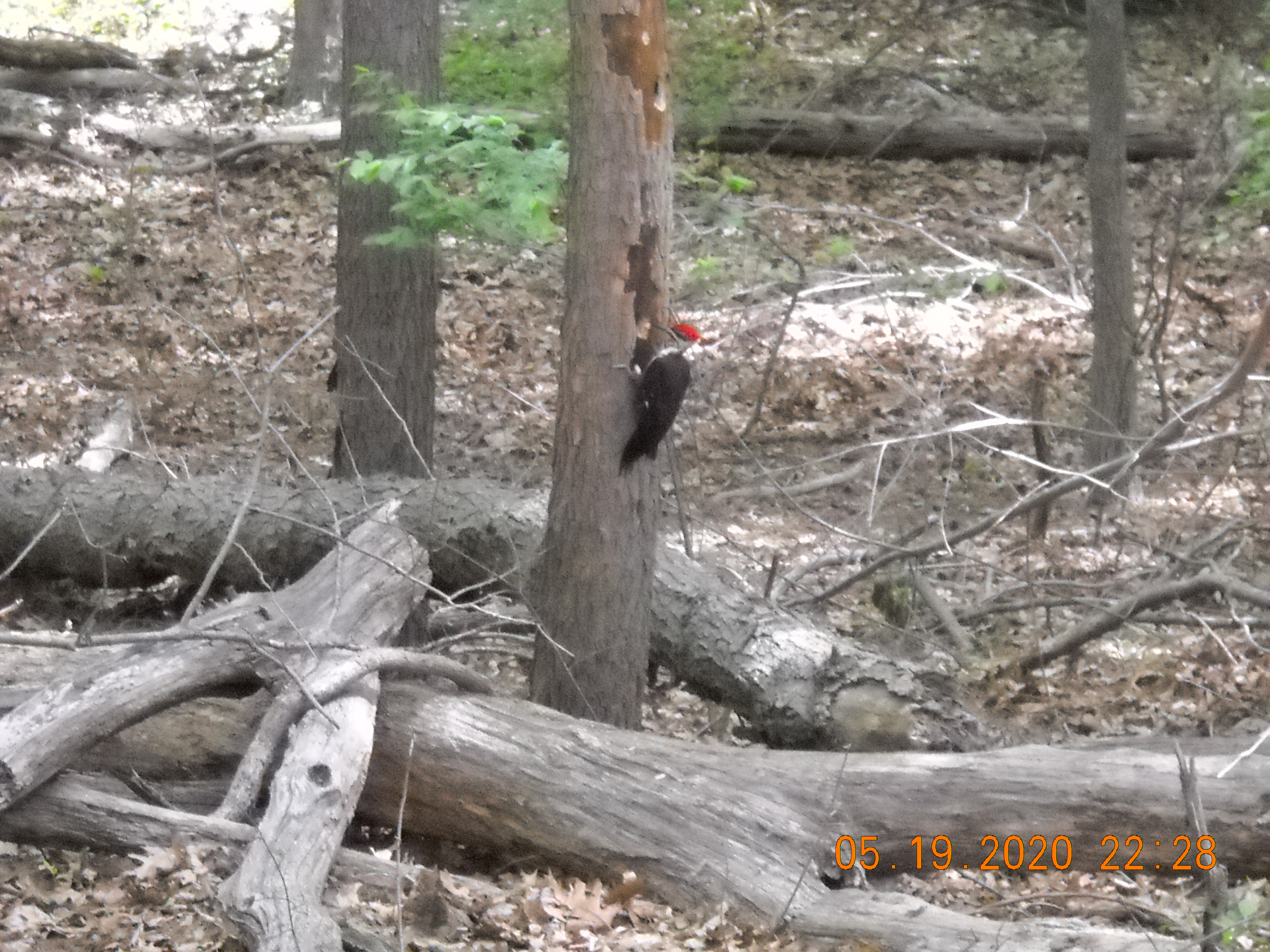 Additional Image 3