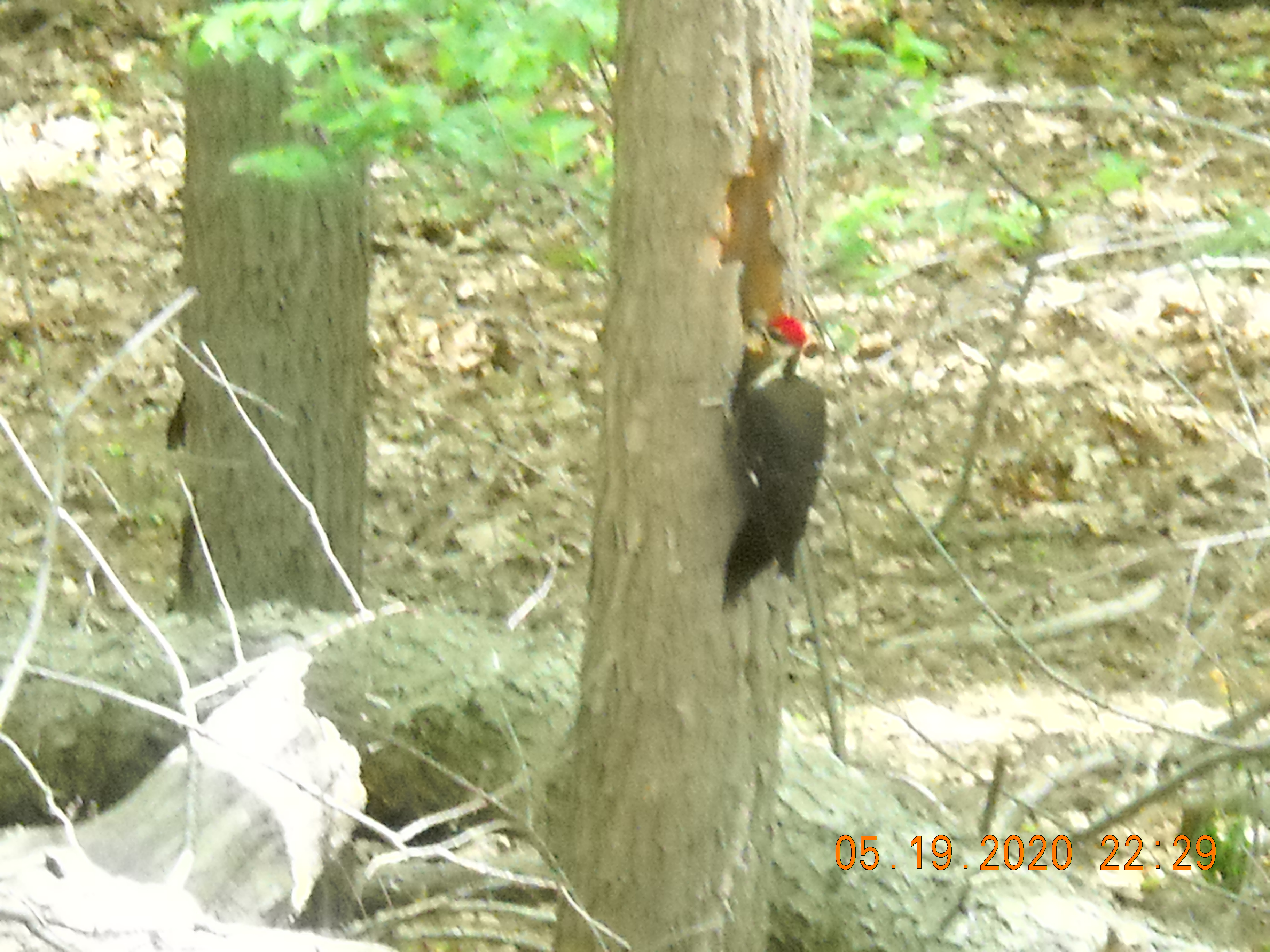 Additional Image 2