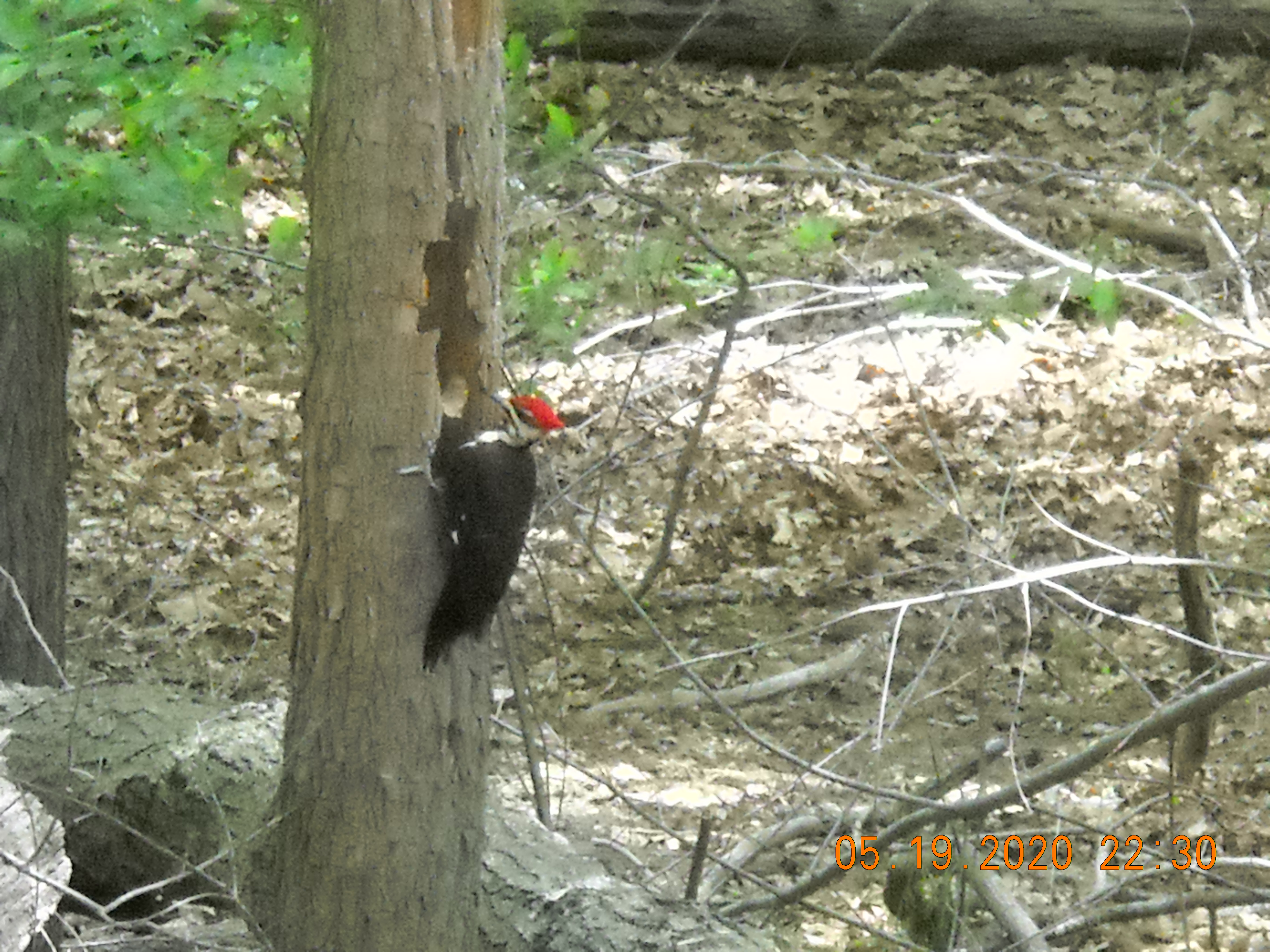 Additional Image 5