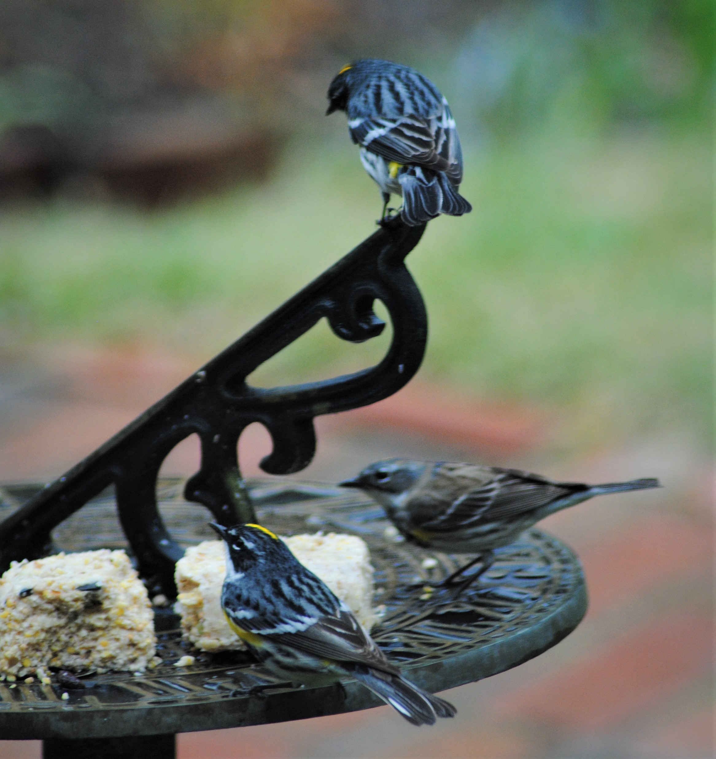 Additional Image 3