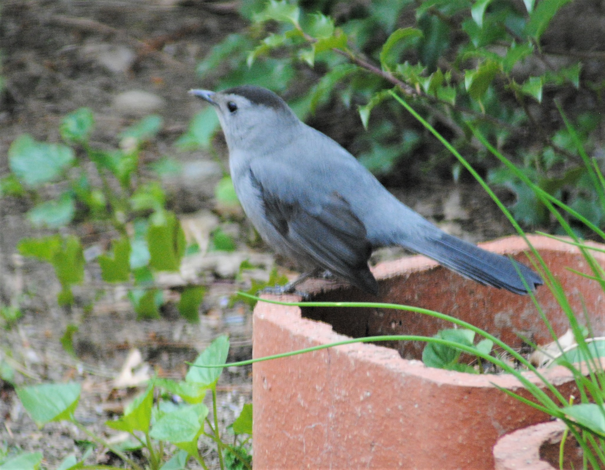 Additional Image 2