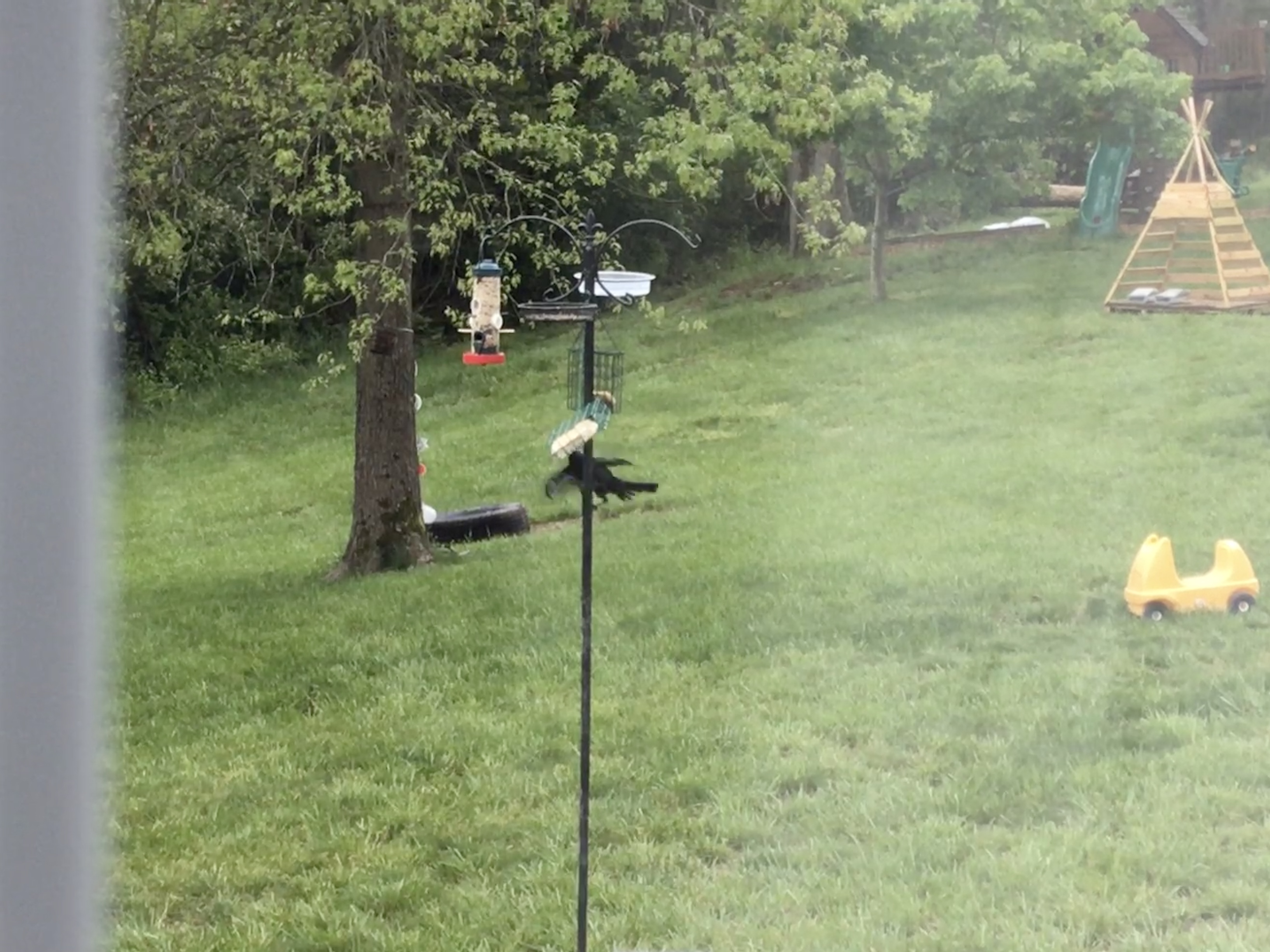 Additional Image 2