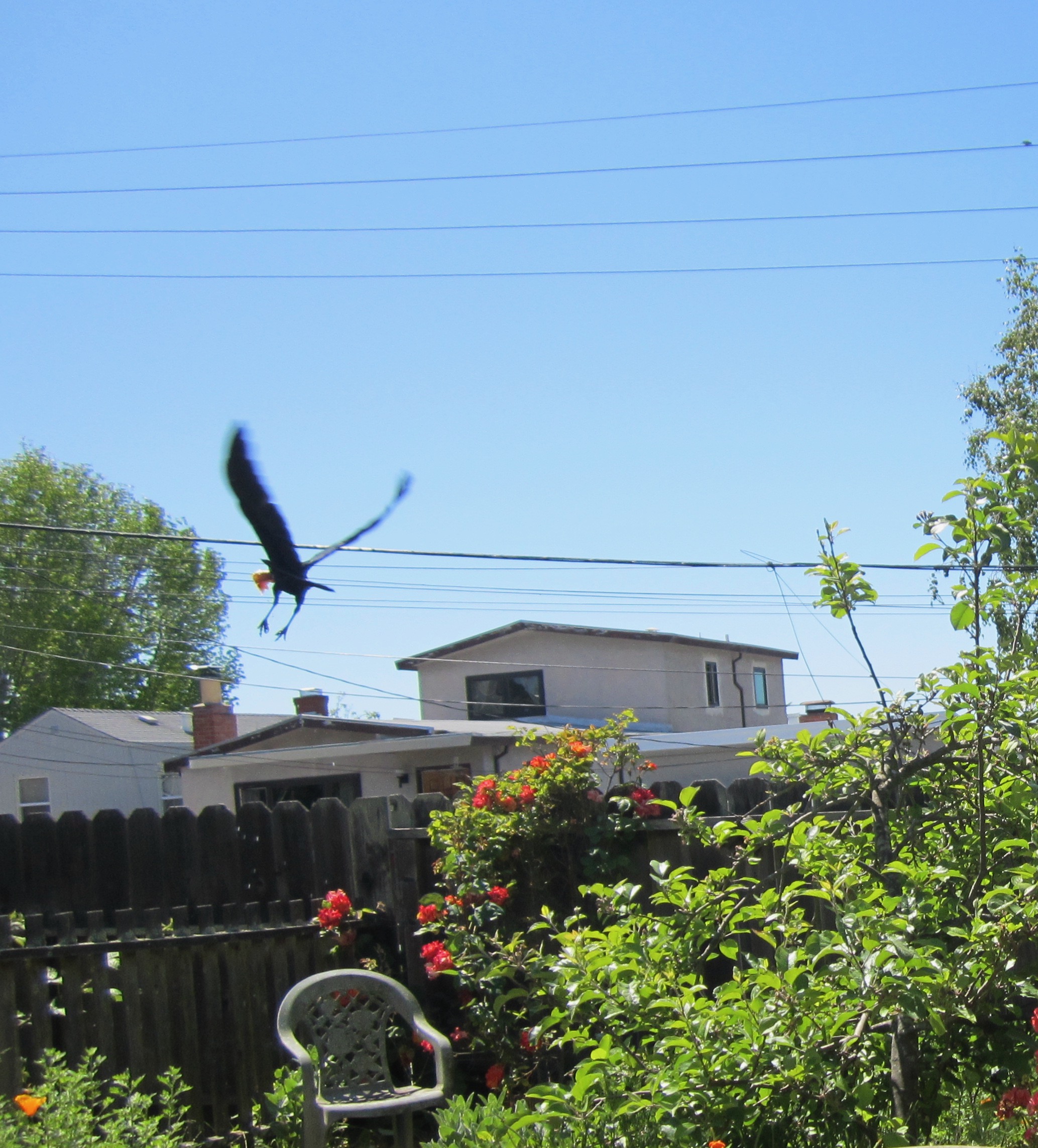 Additional Image 2