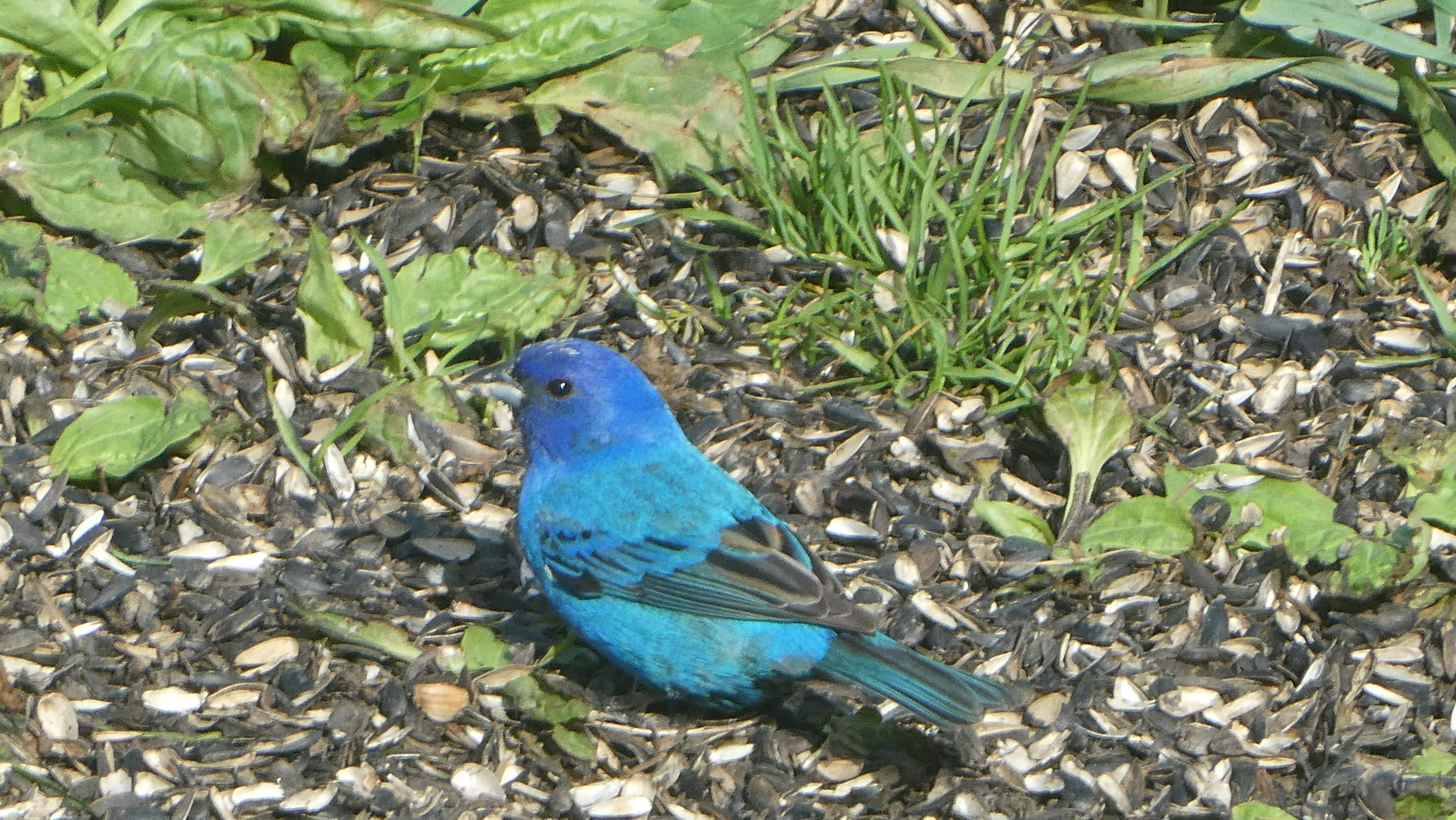 Featured Image
