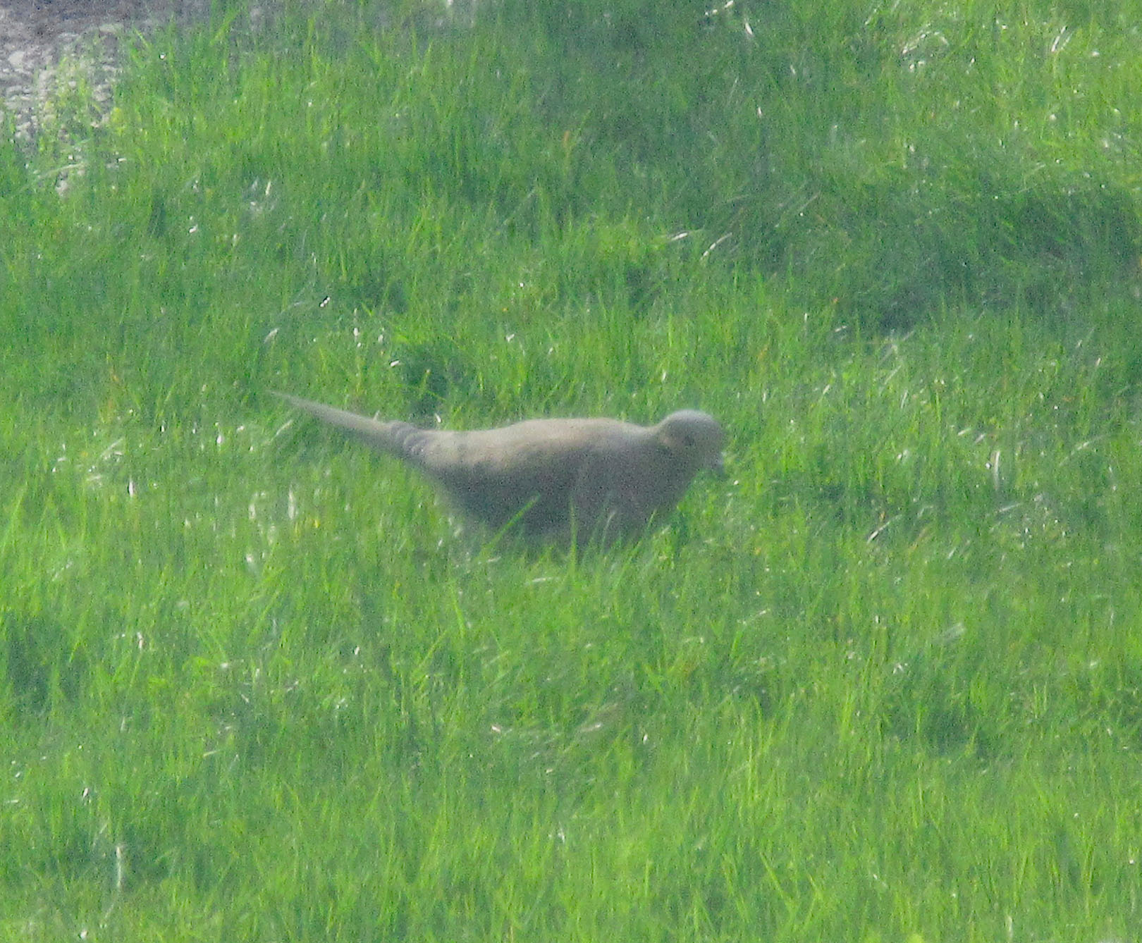 Additional Image 2