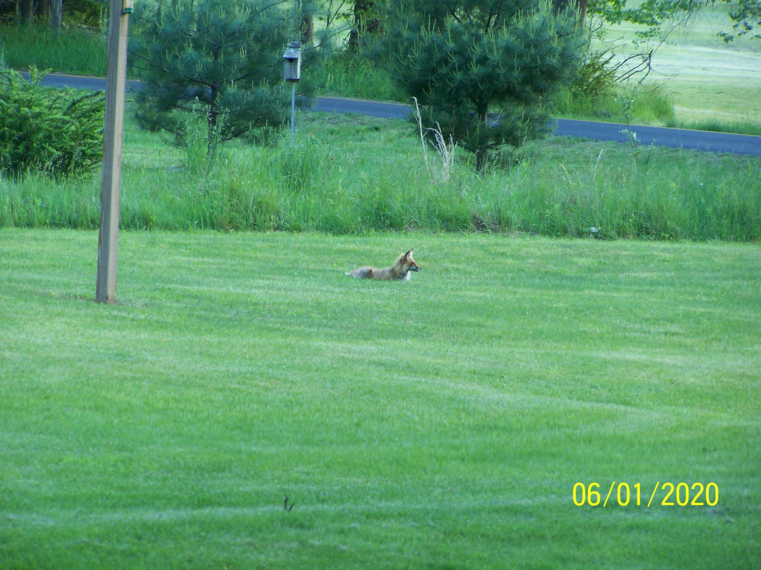 Additional Image 2