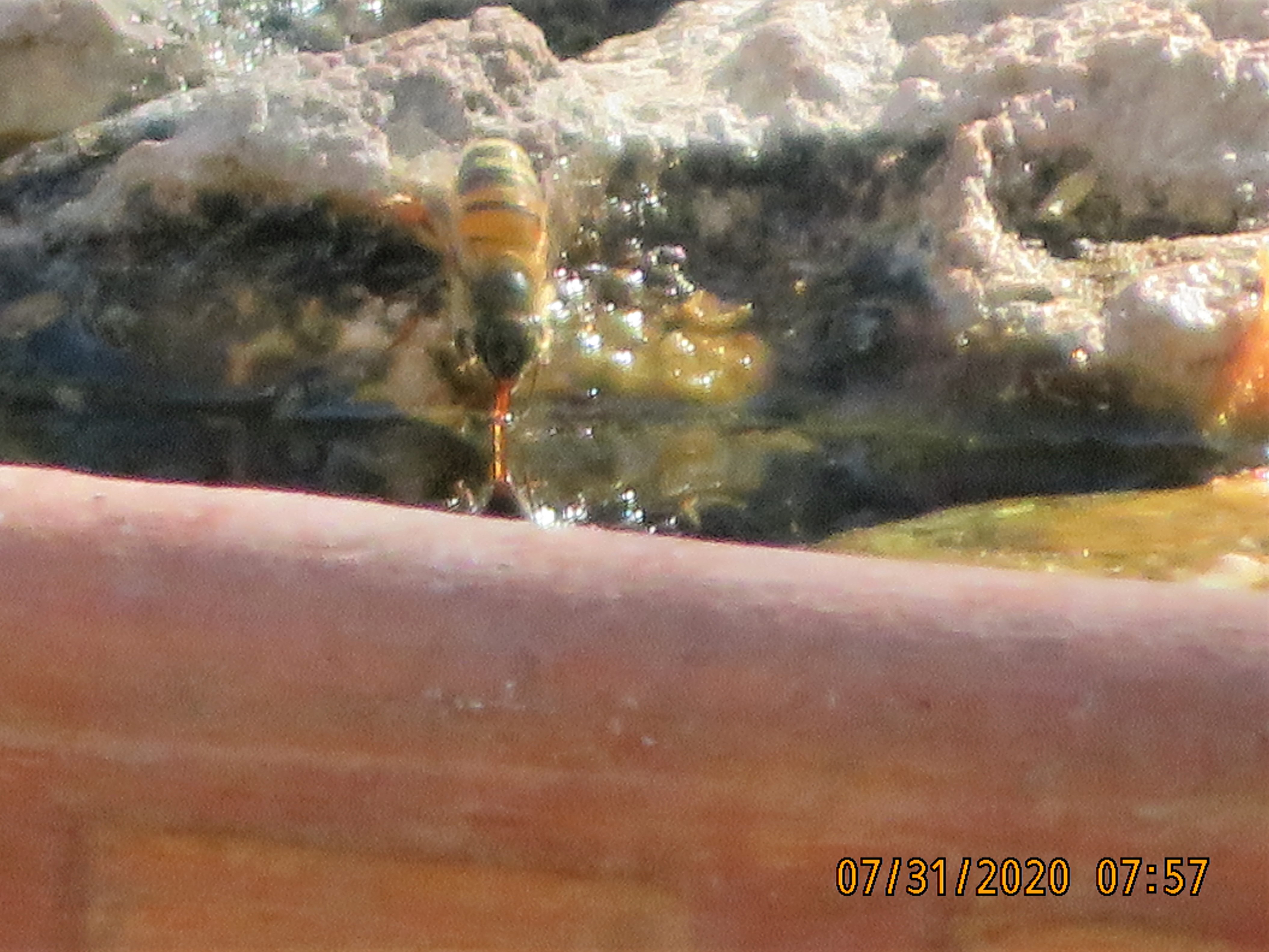 Additional Image 2