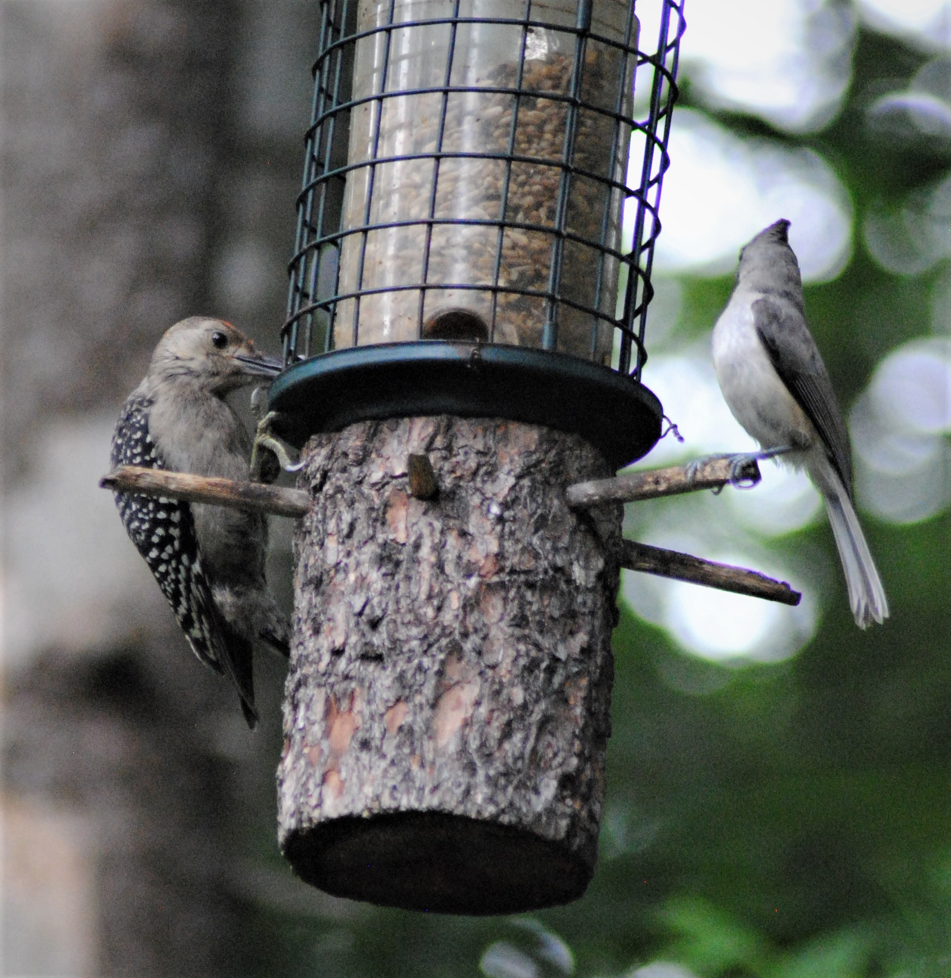 Additional Image 2