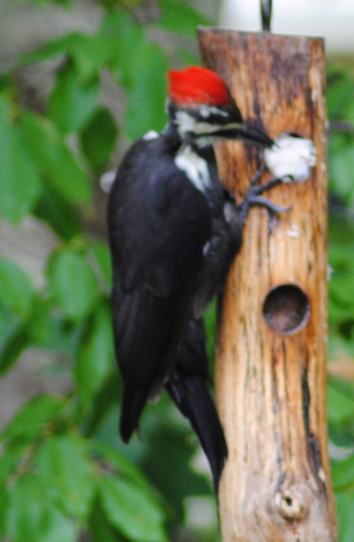 Additional Image 3