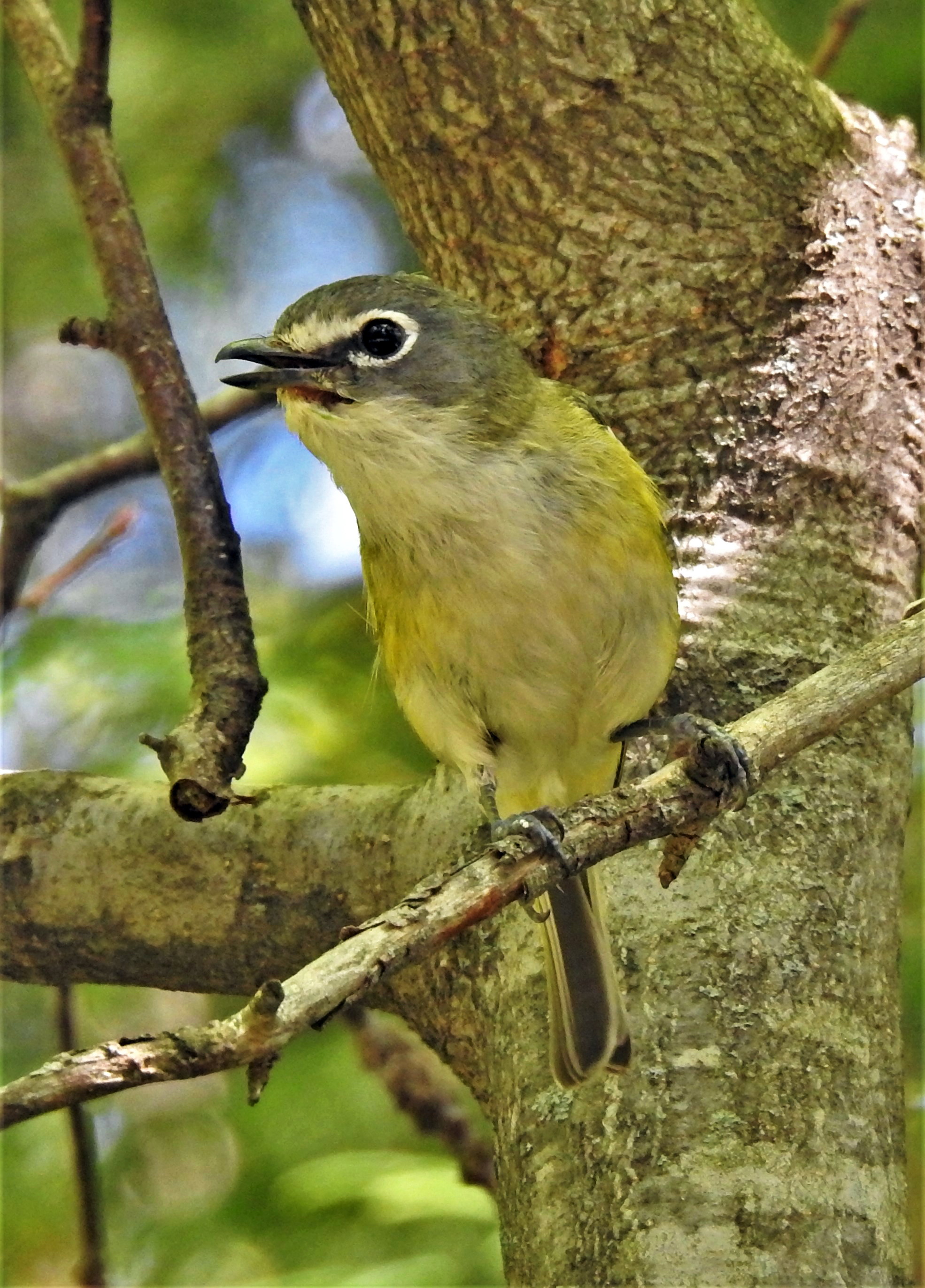 Featured Image