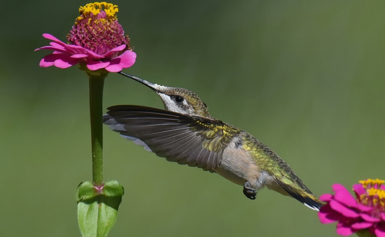 Featured Image