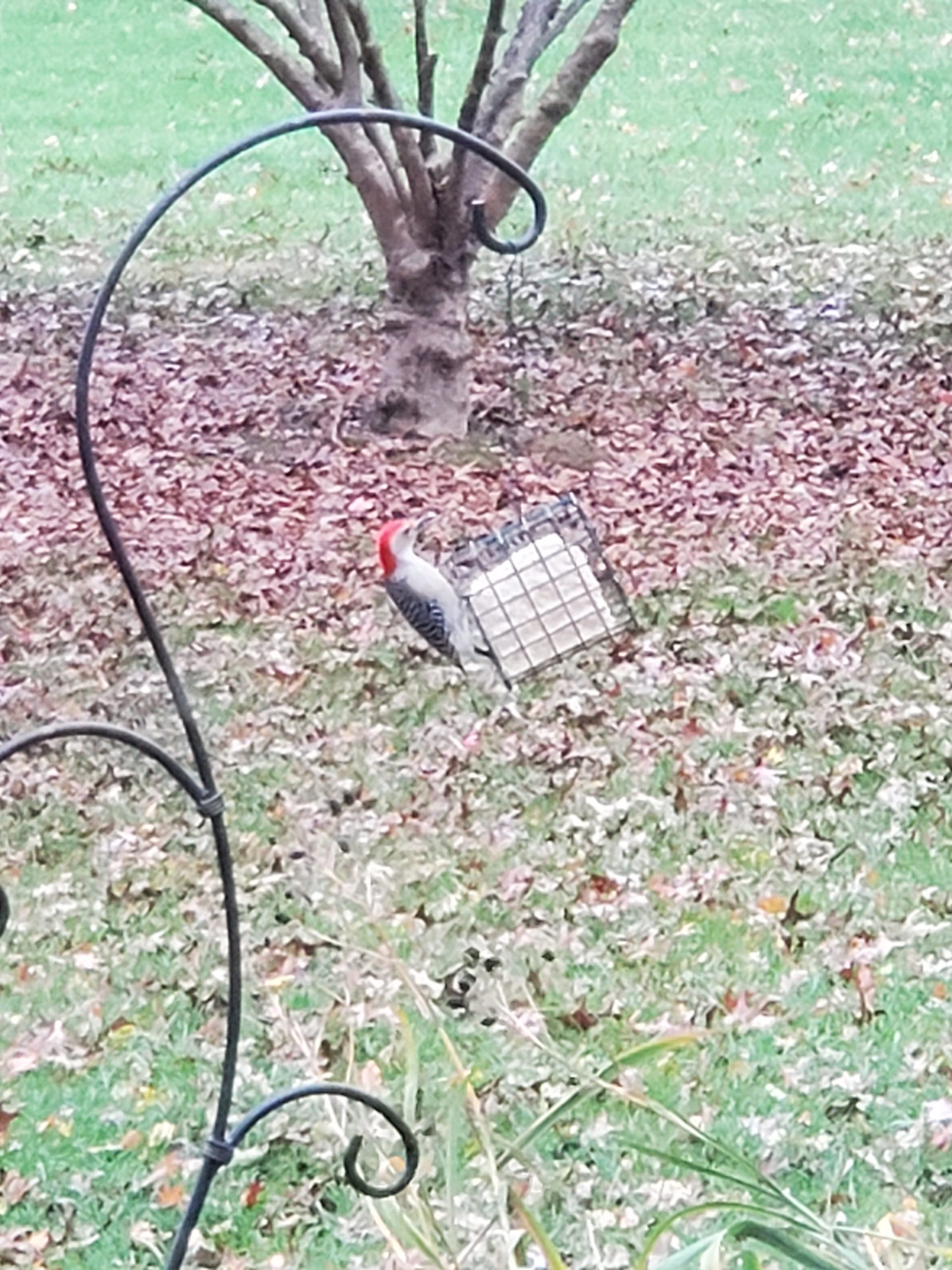 Additional Image 2