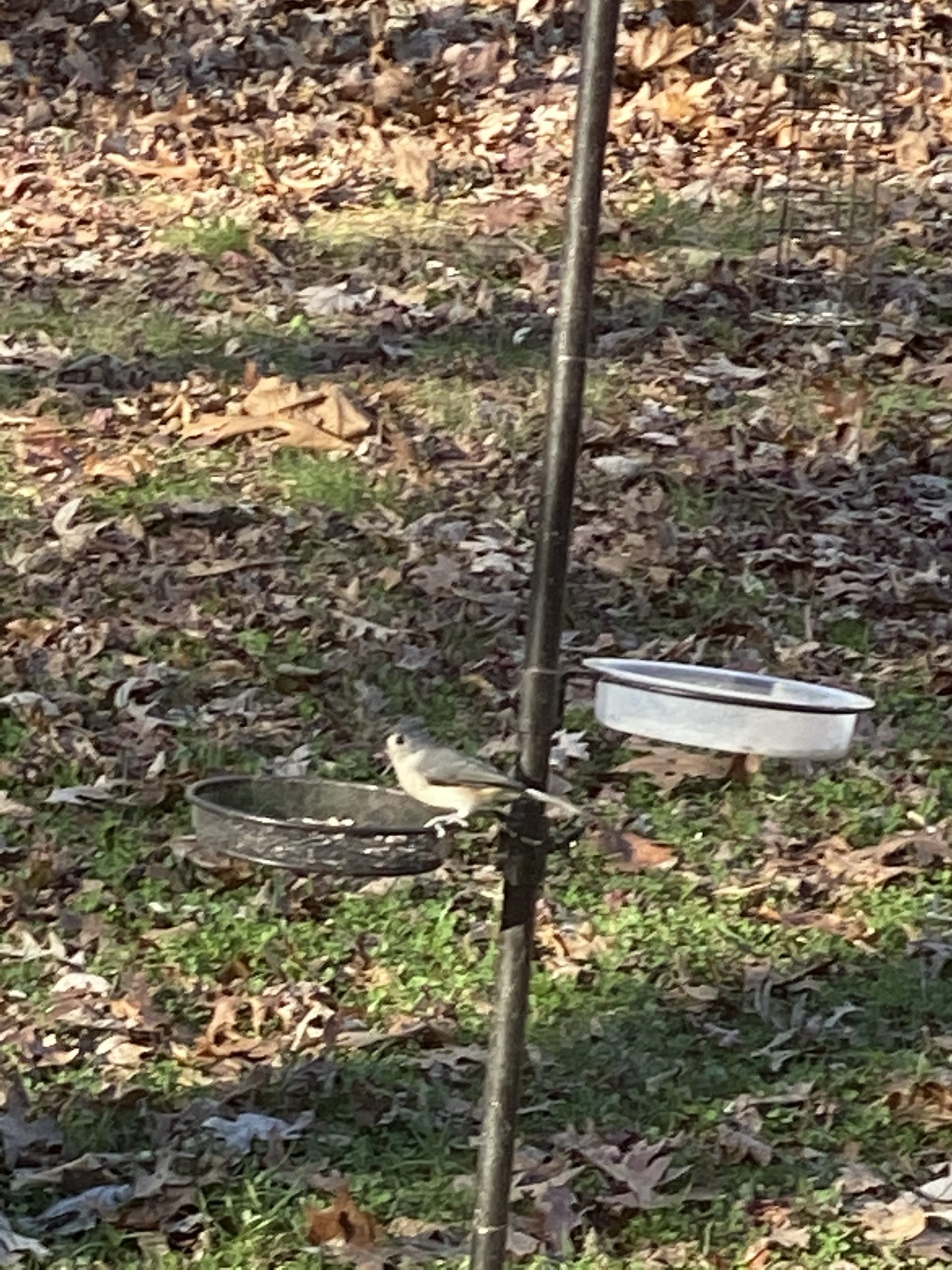 Additional Image 3