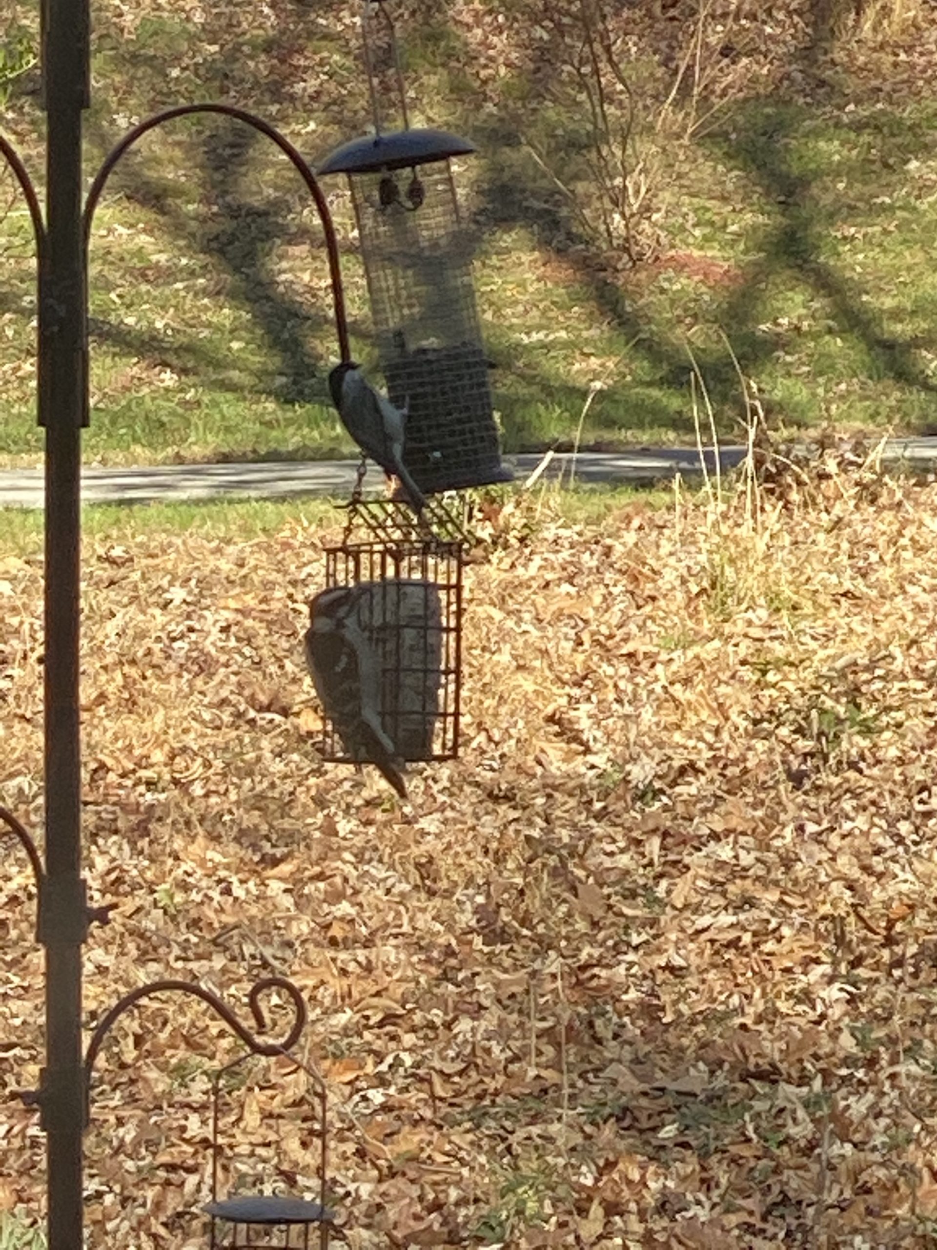 Additional Image 2