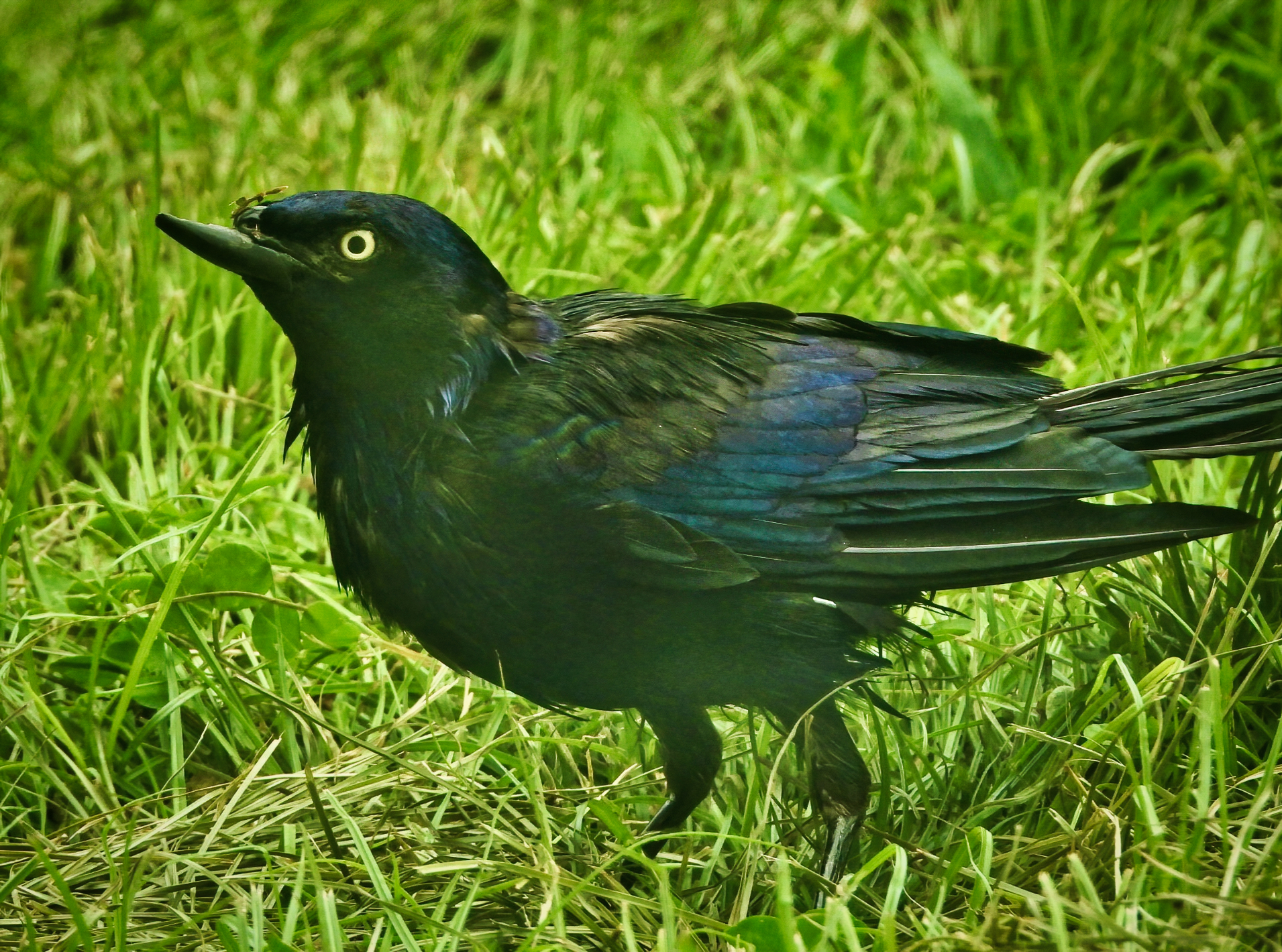 Featured Image