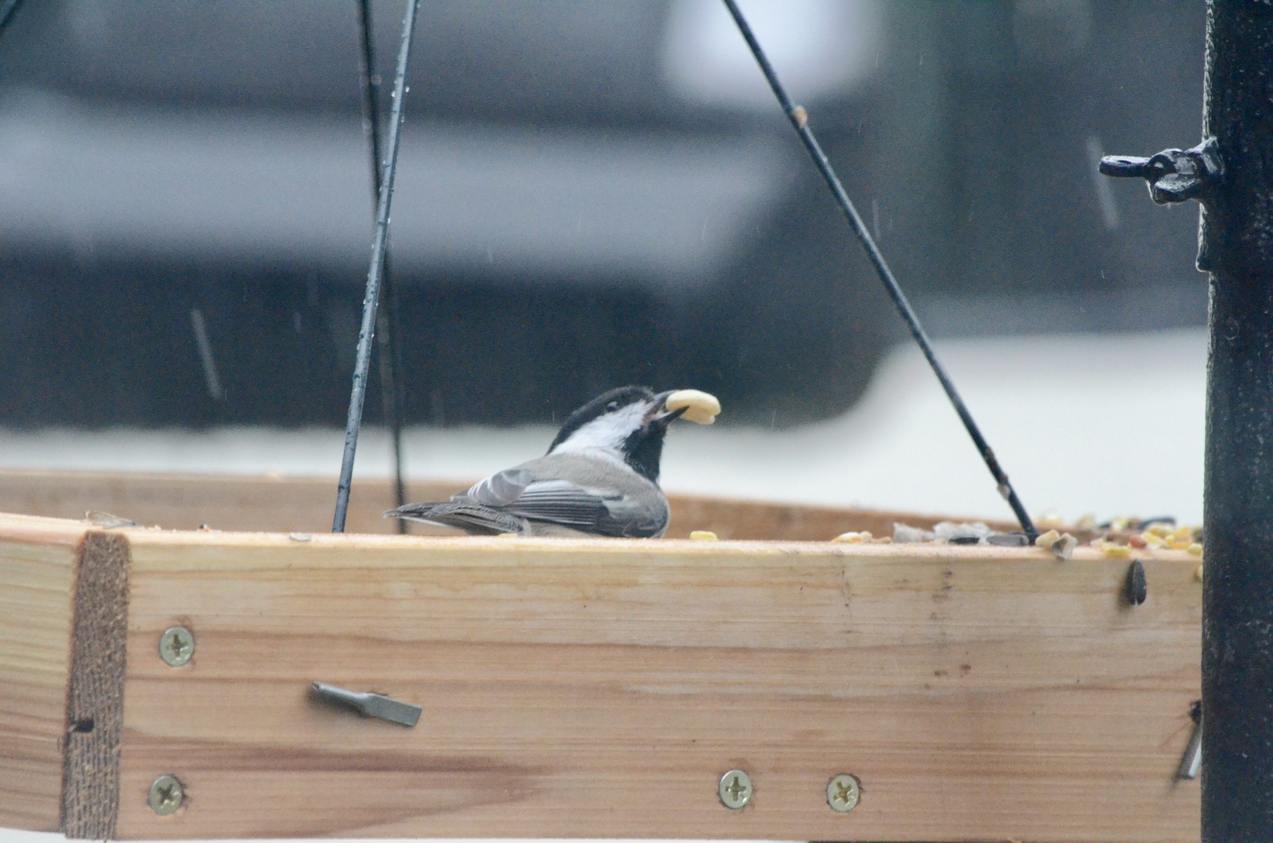 Additional Image 3