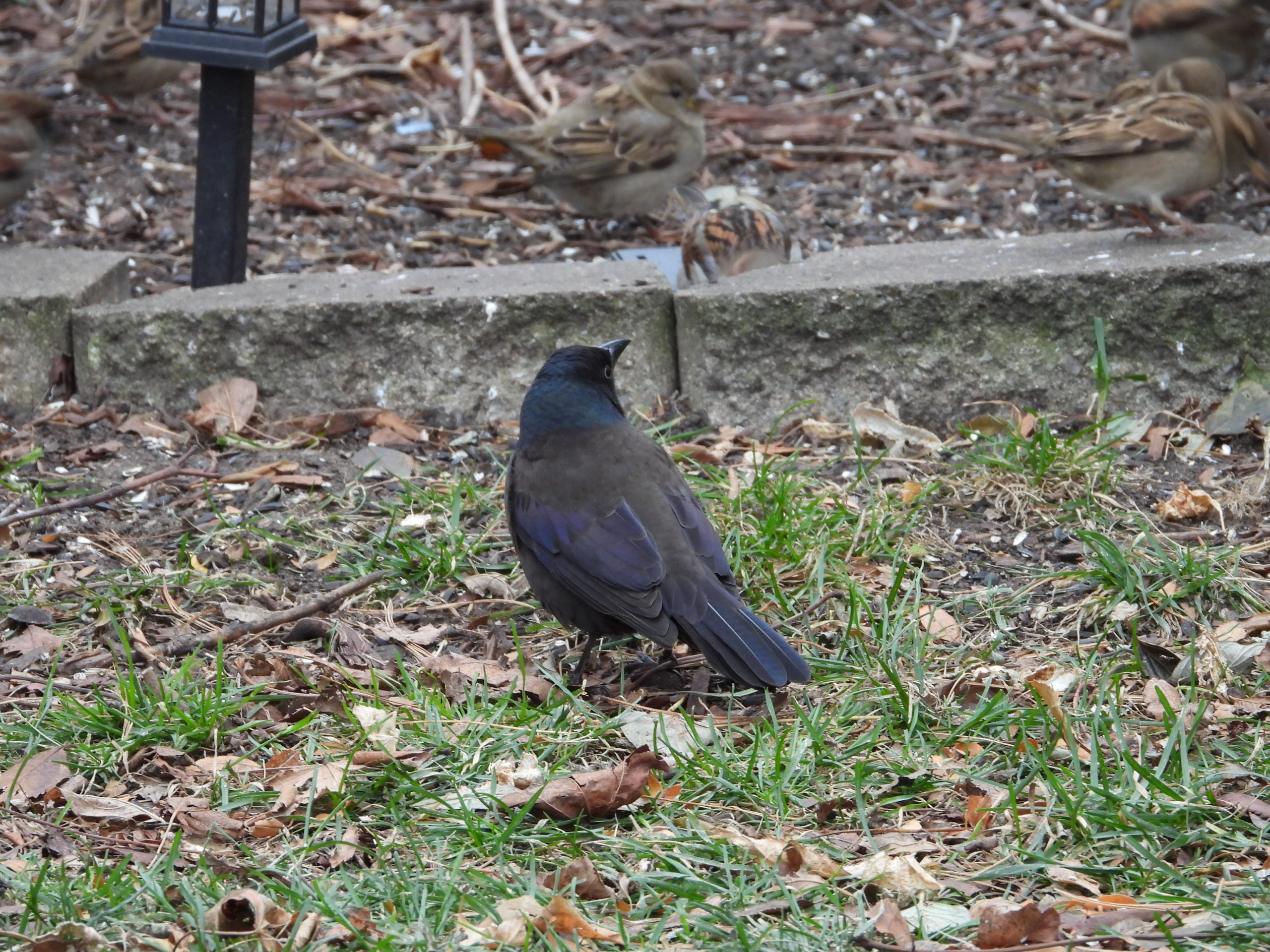 Additional Image 5