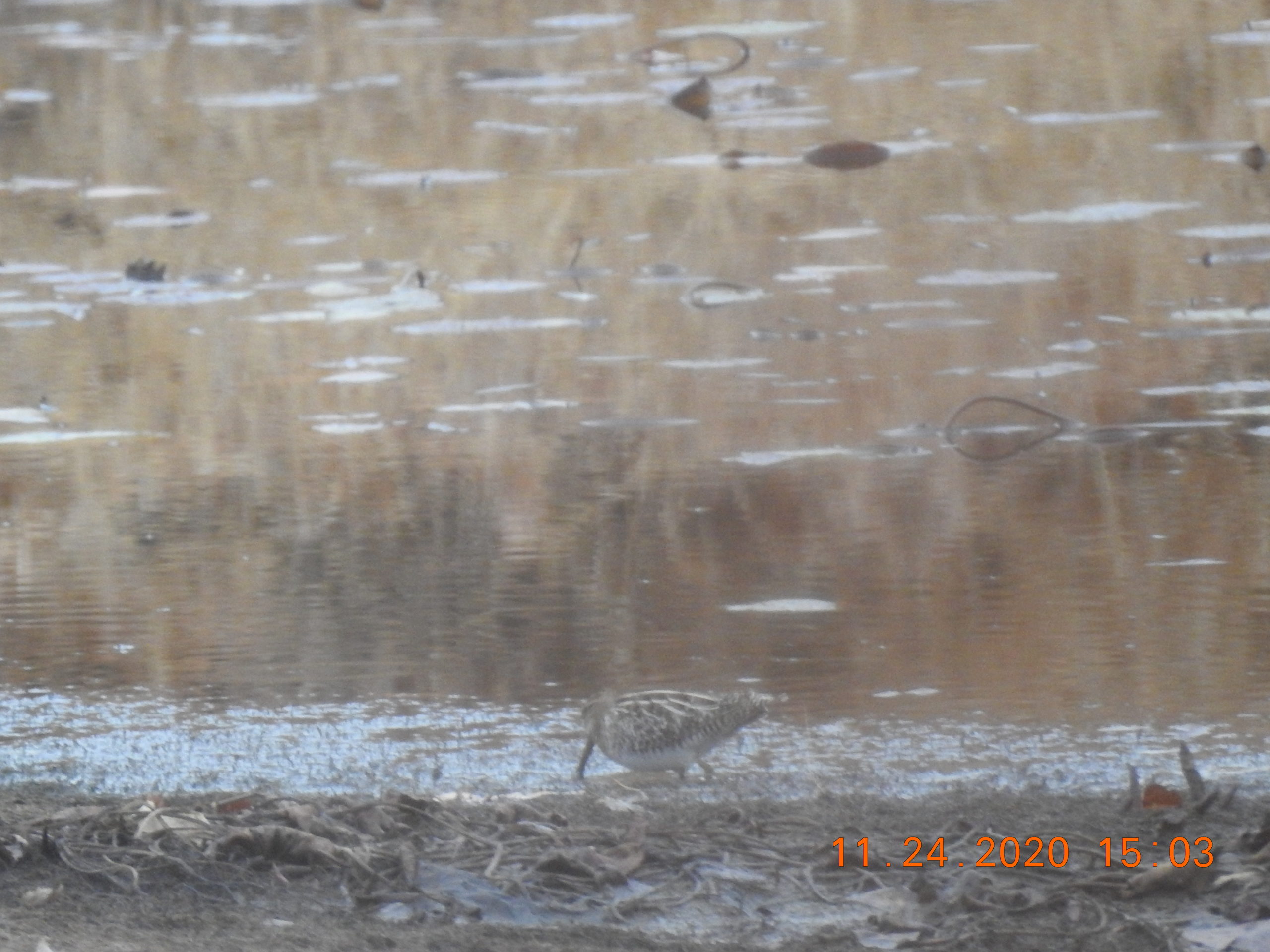 Additional Image 2