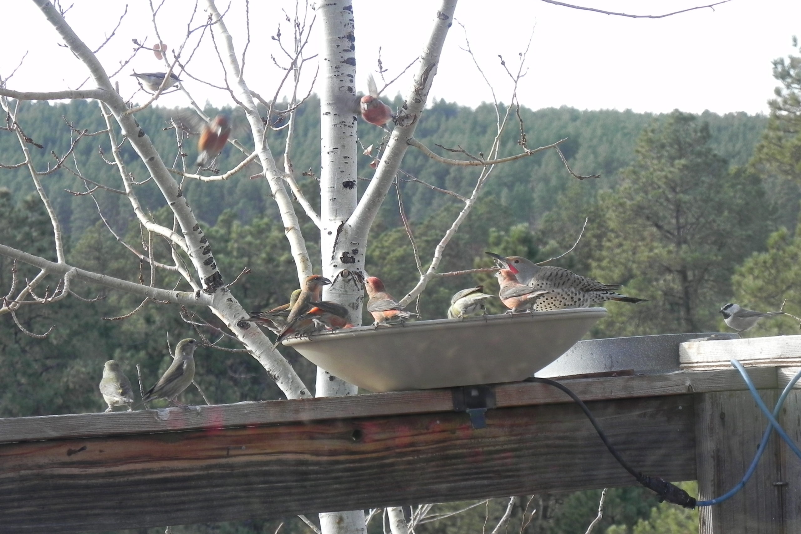 Additional Image 2