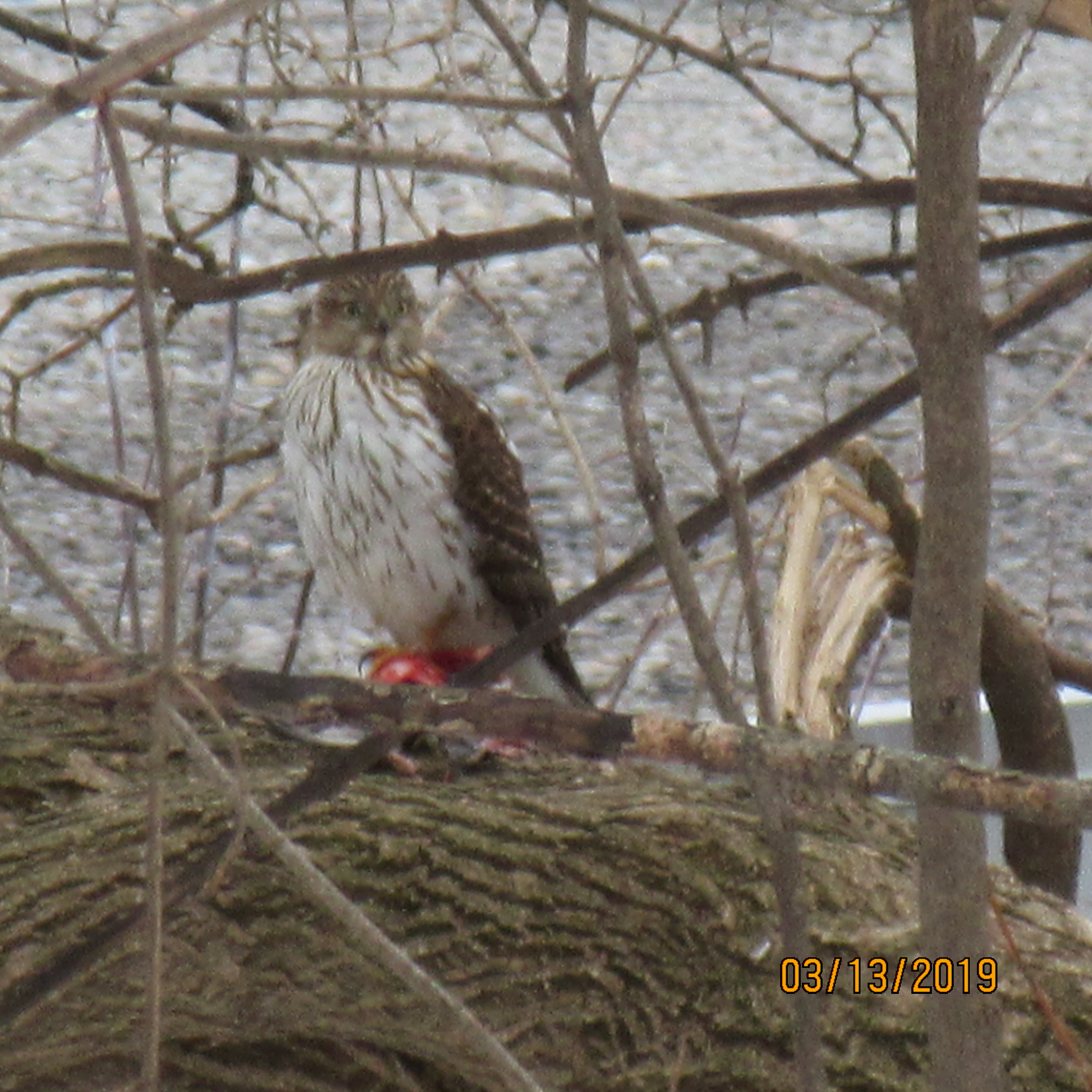 Additional Image 2