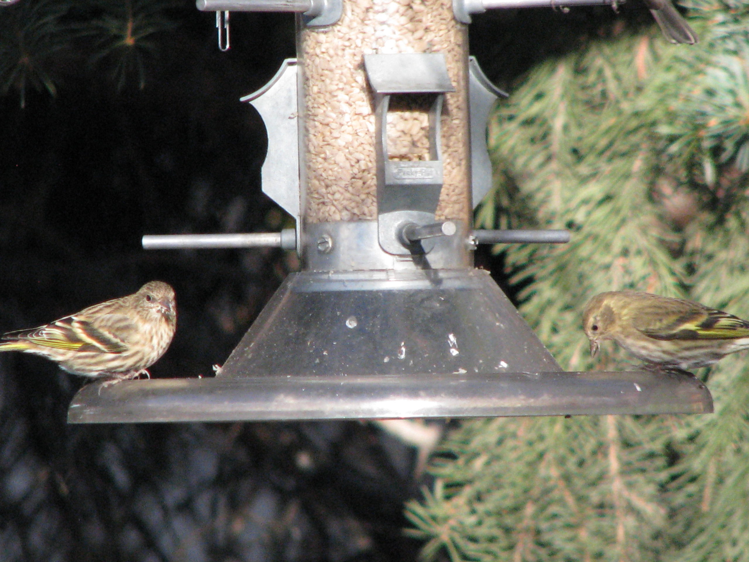 Additional Image 3