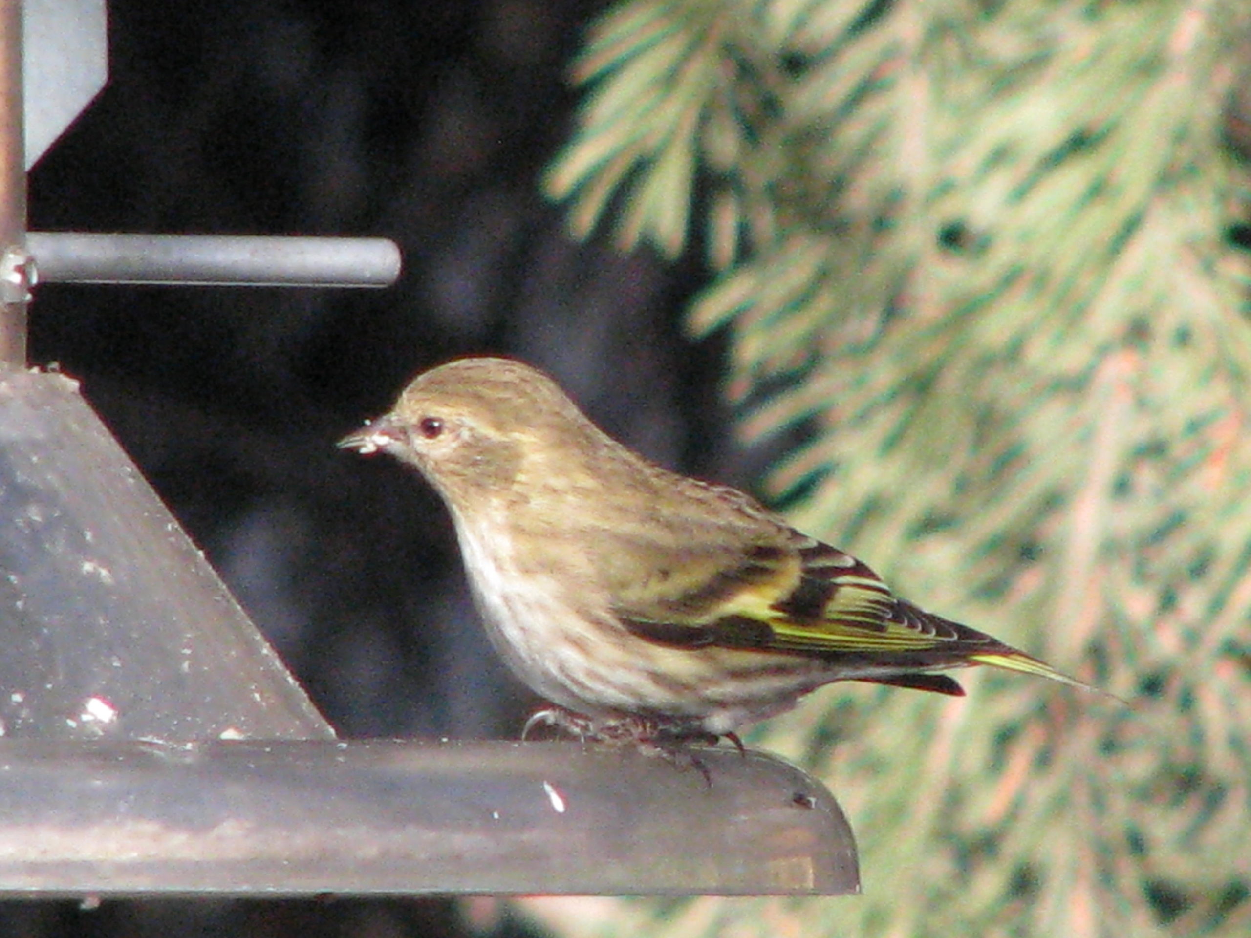 Additional Image 2