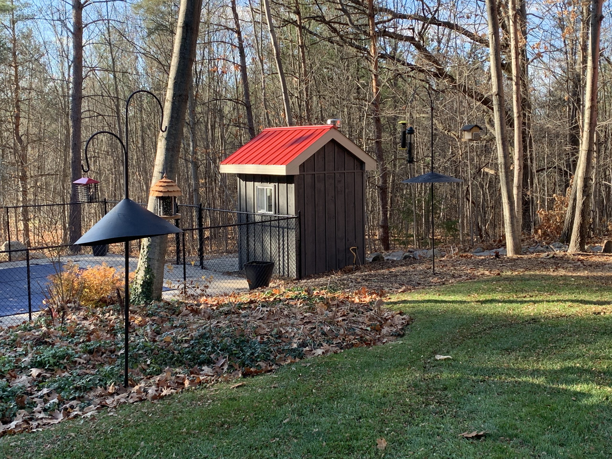 Additional Image 2