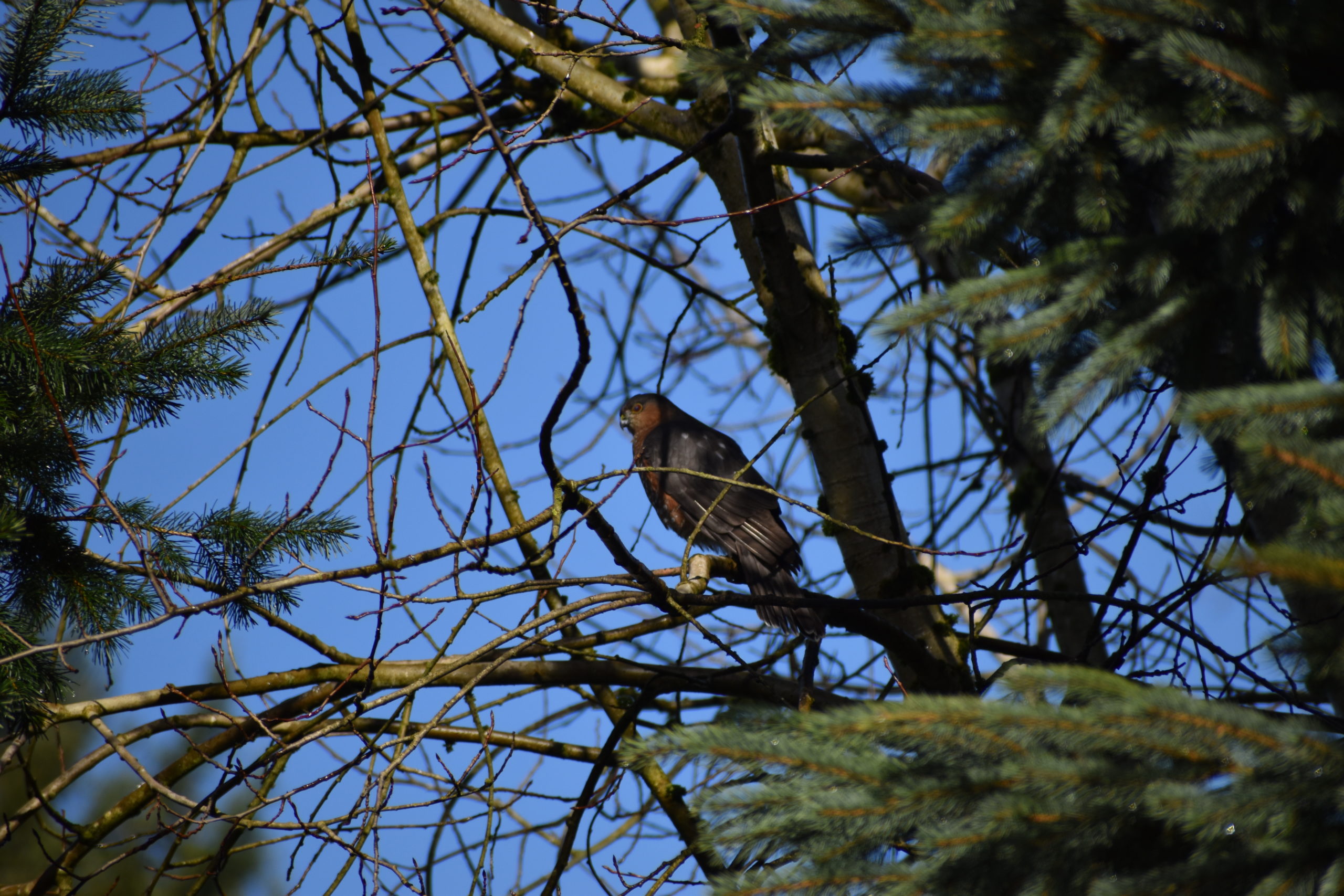 Additional Image 3