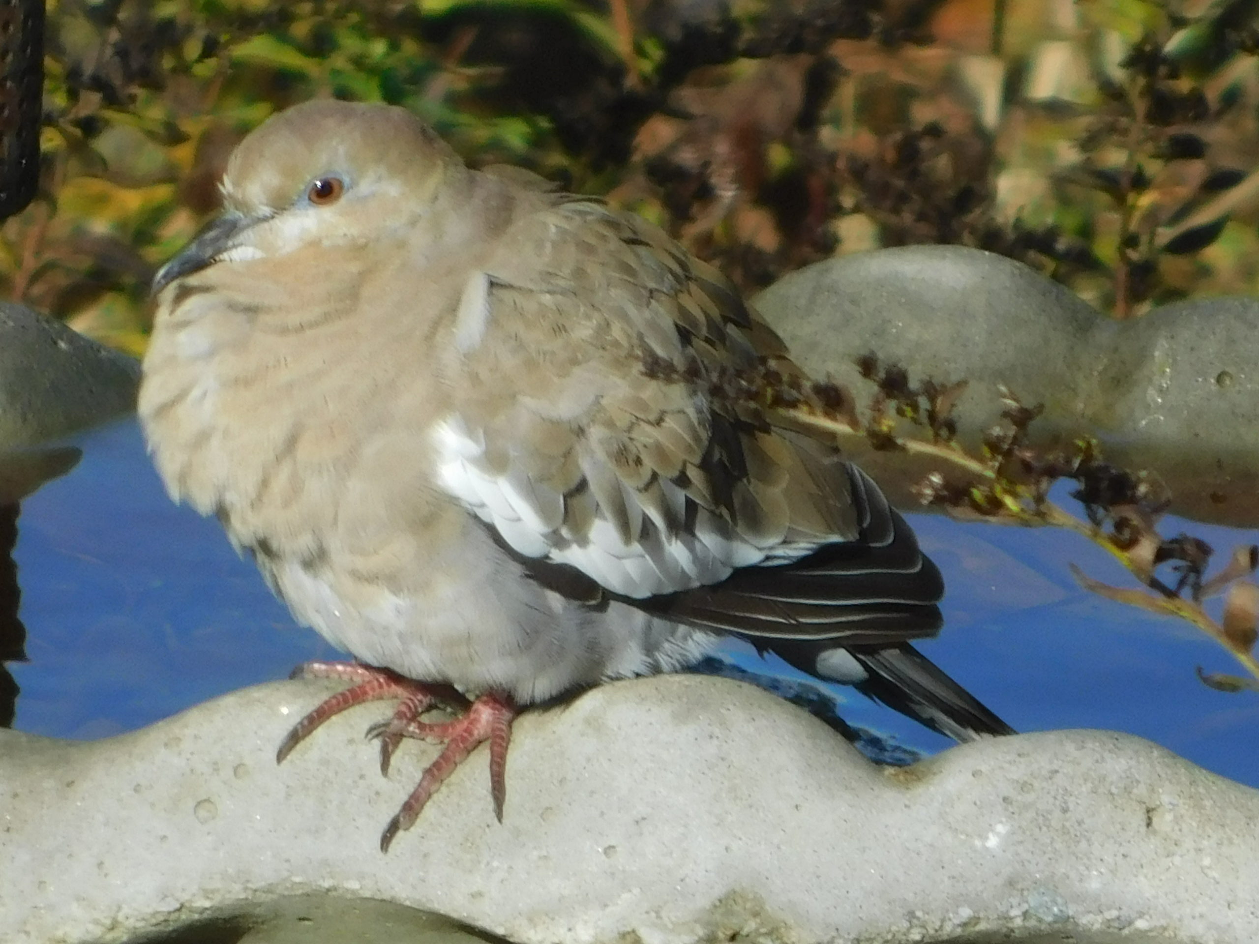 Featured Image