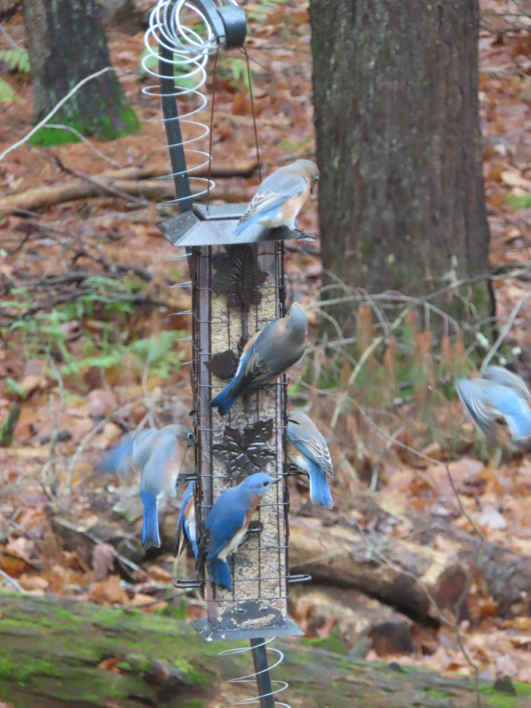 Additional Image 2