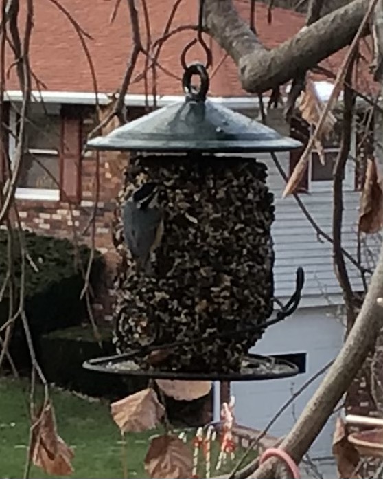Additional Image 2