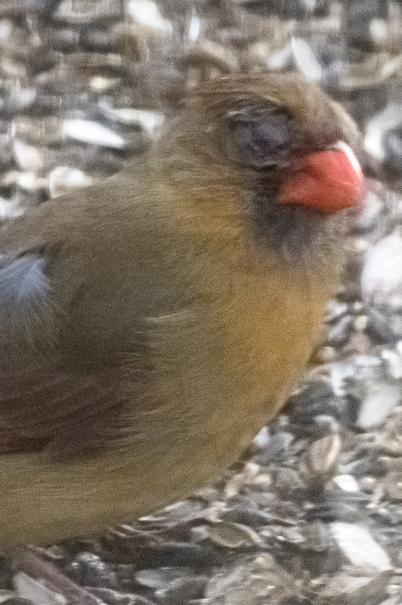 Additional Image 2