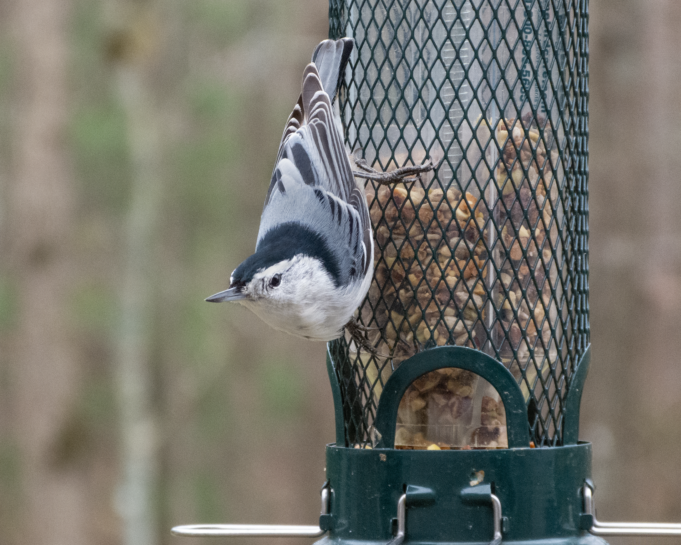Additional Image 2