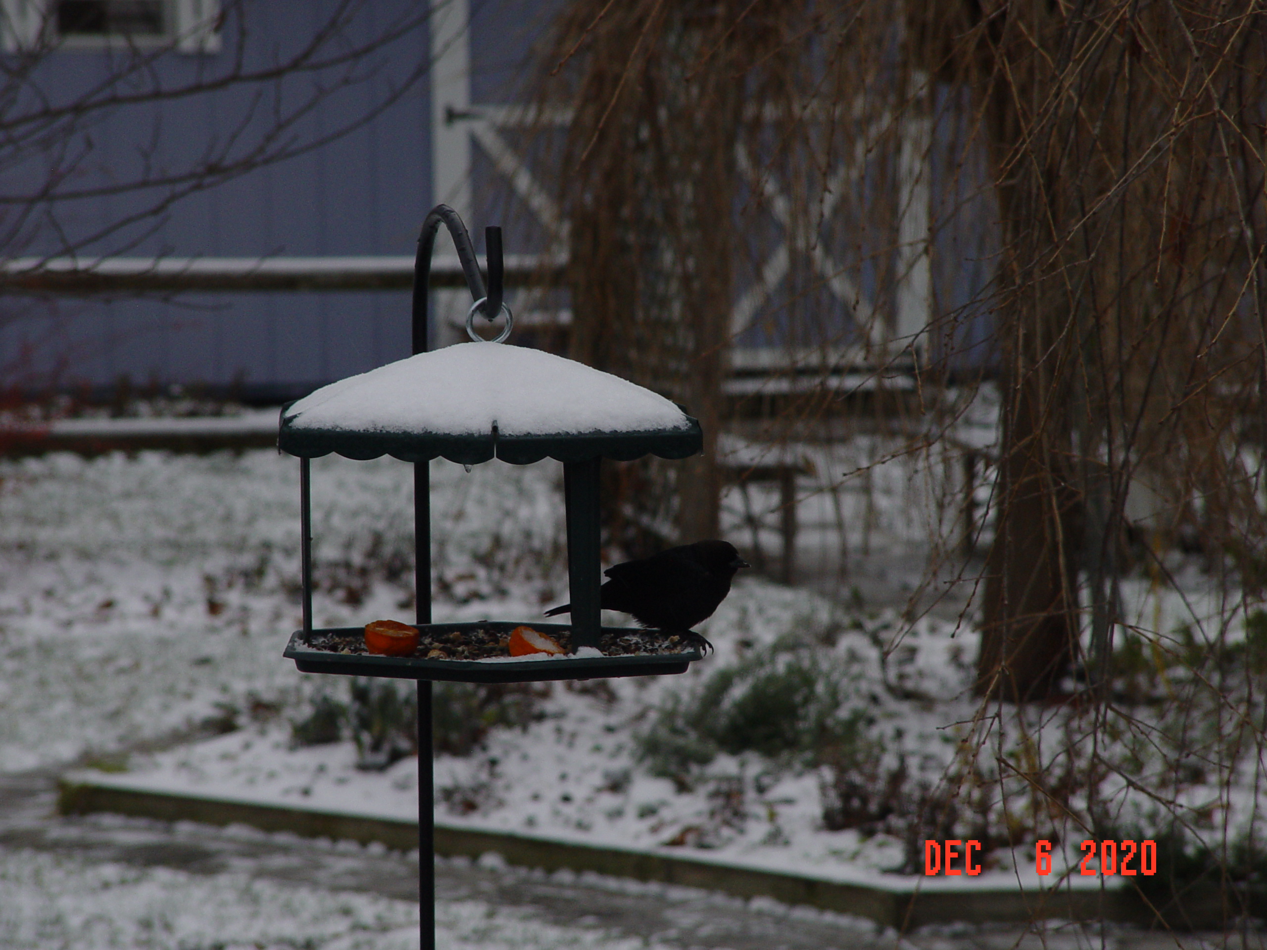 Additional Image 2