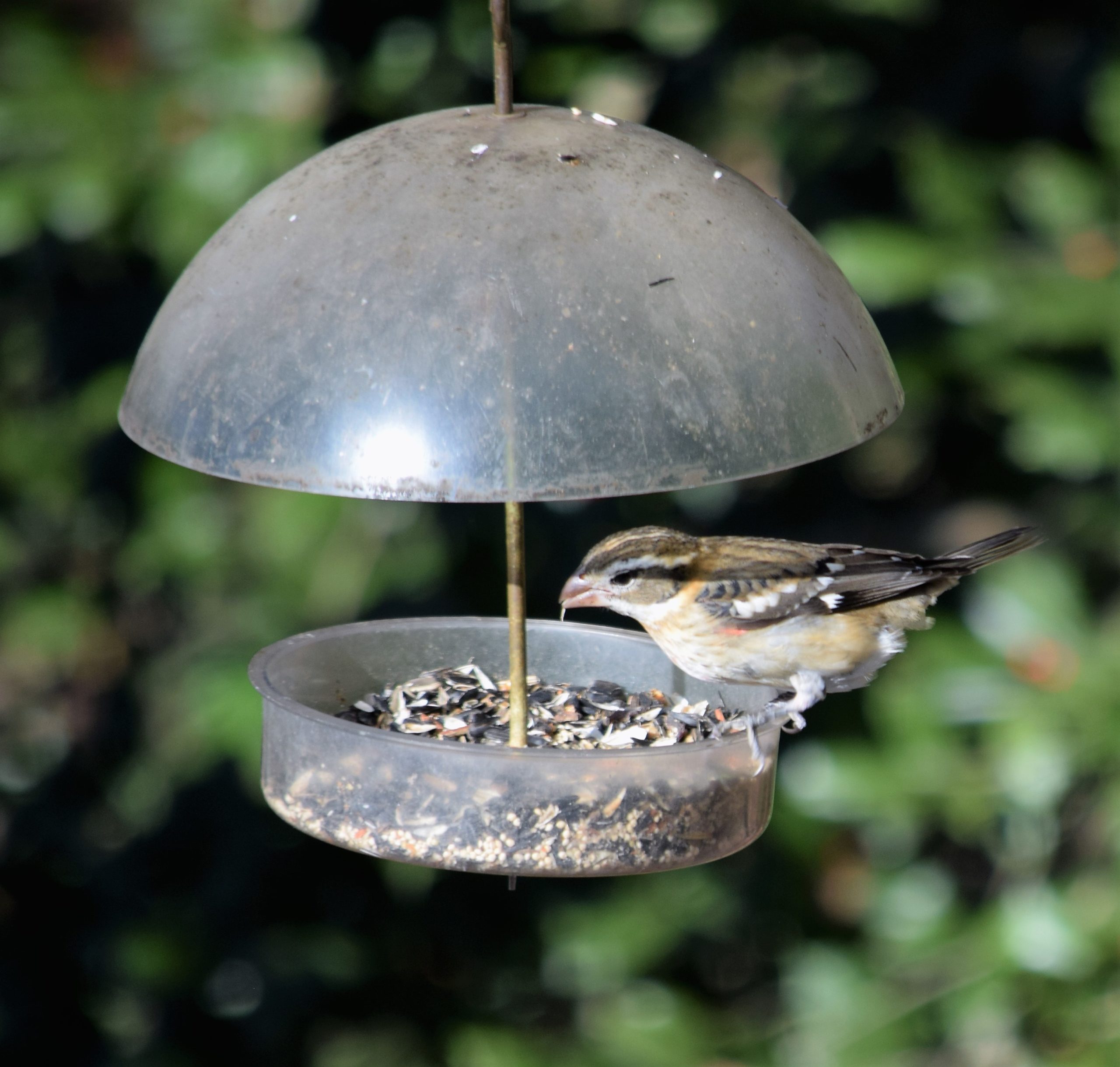 Additional Image 3