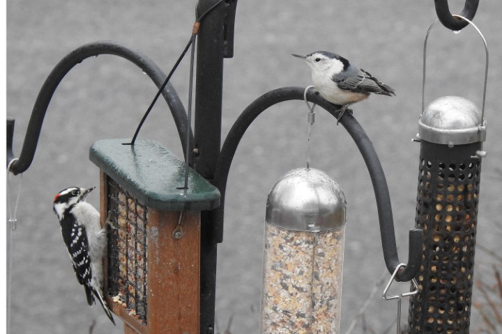 Additional Image 2