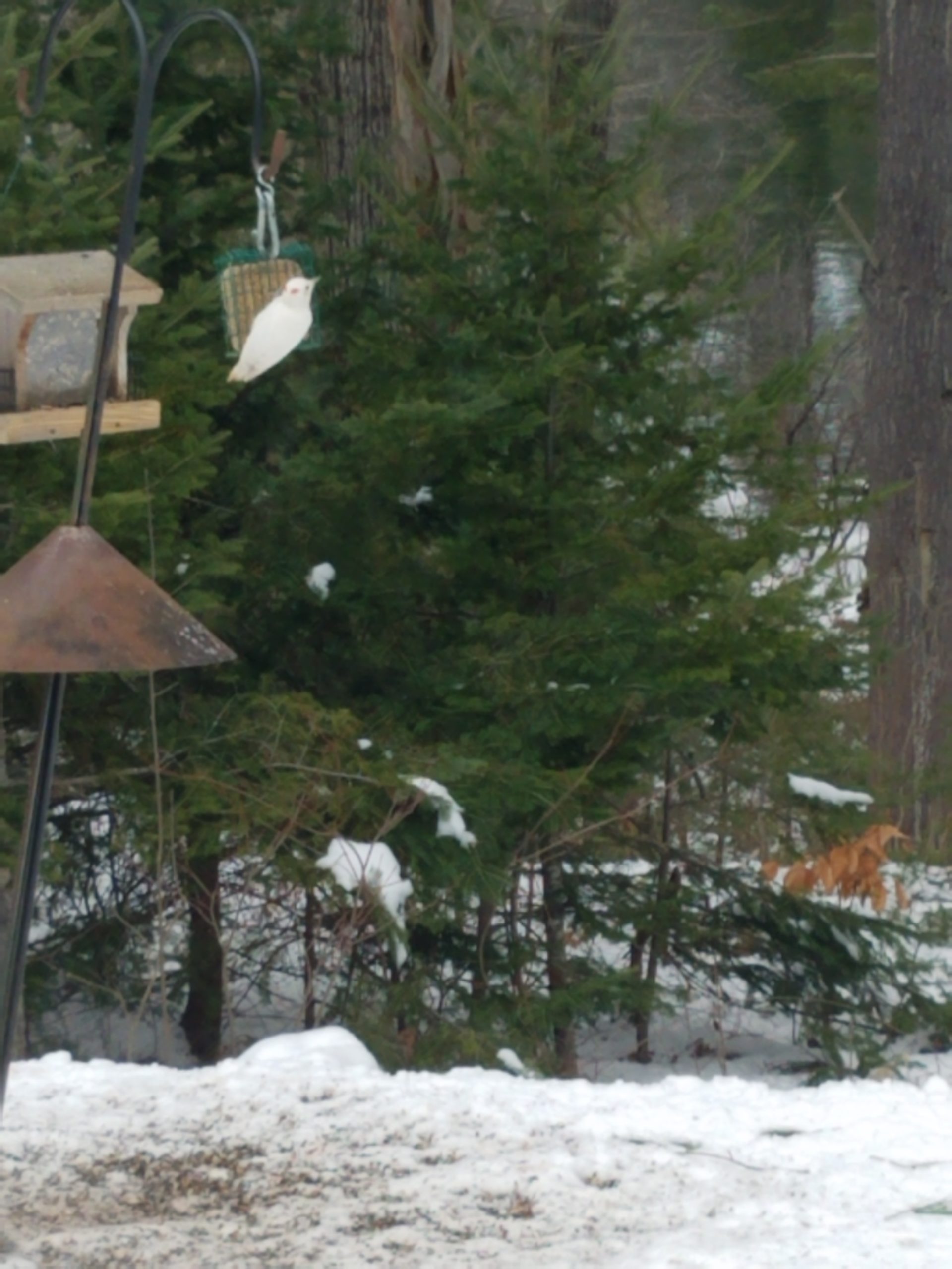 Additional Image 2