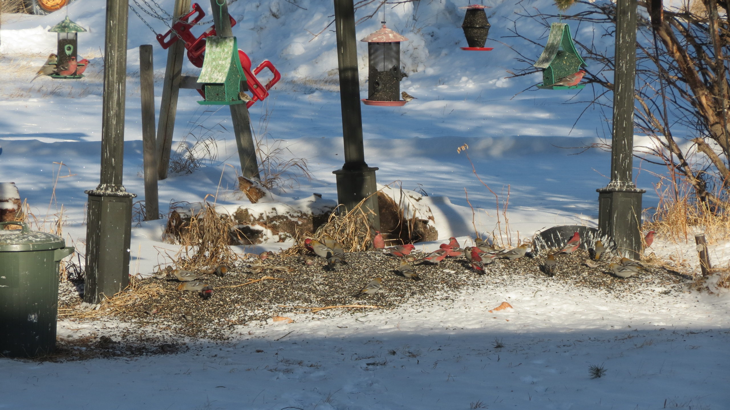 Additional Image 2