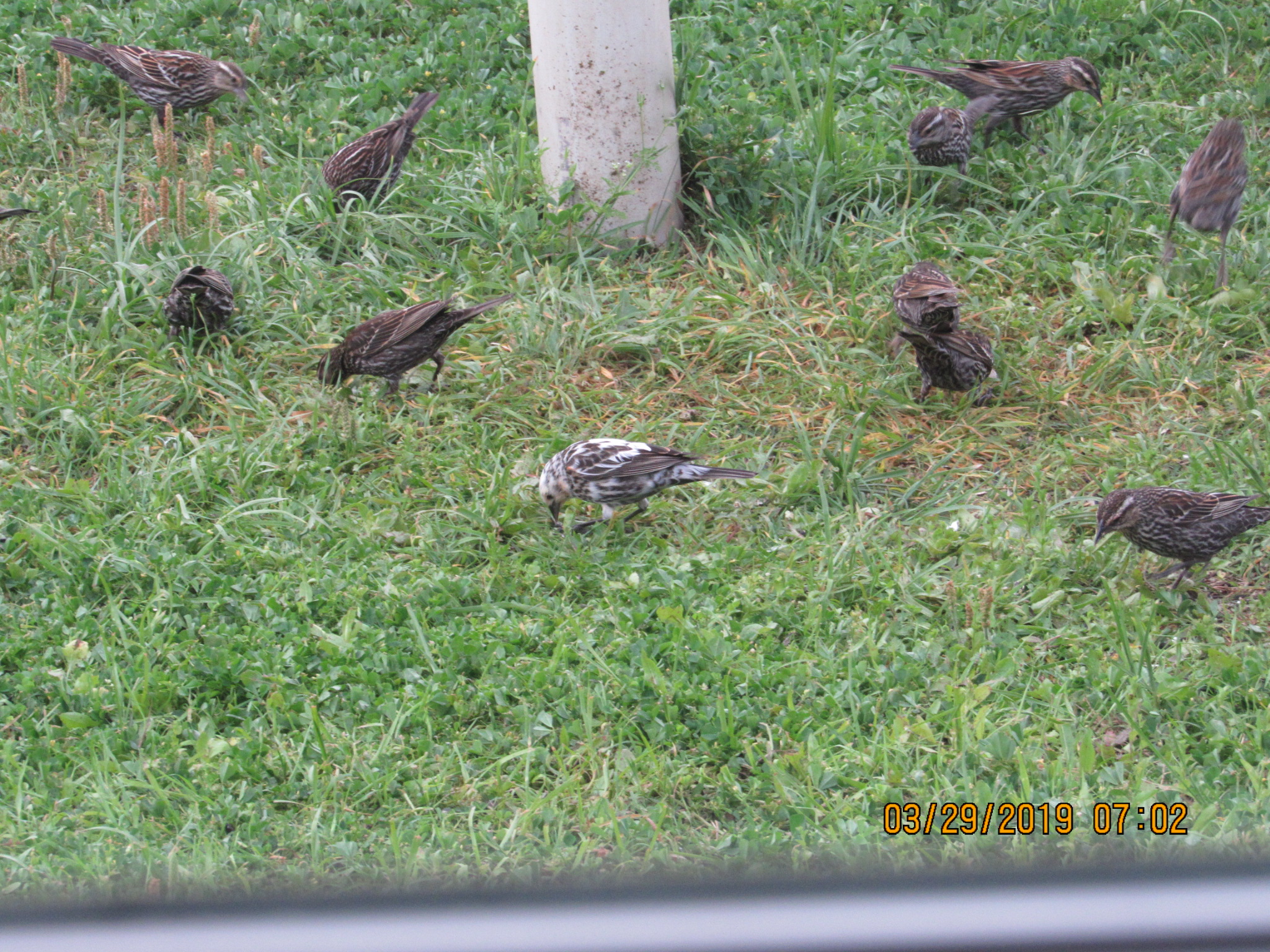 Additional Image 3