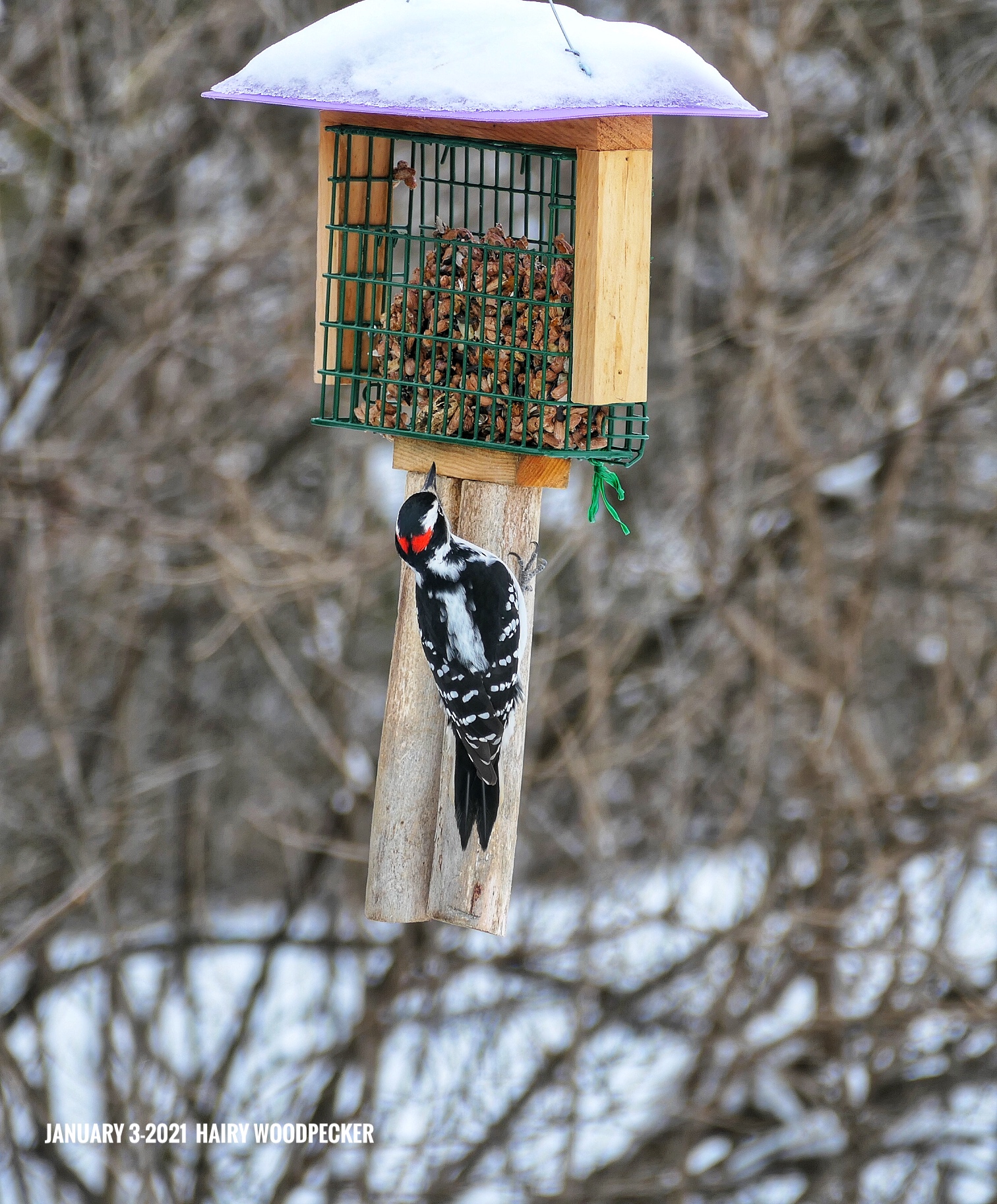 Additional Image 4