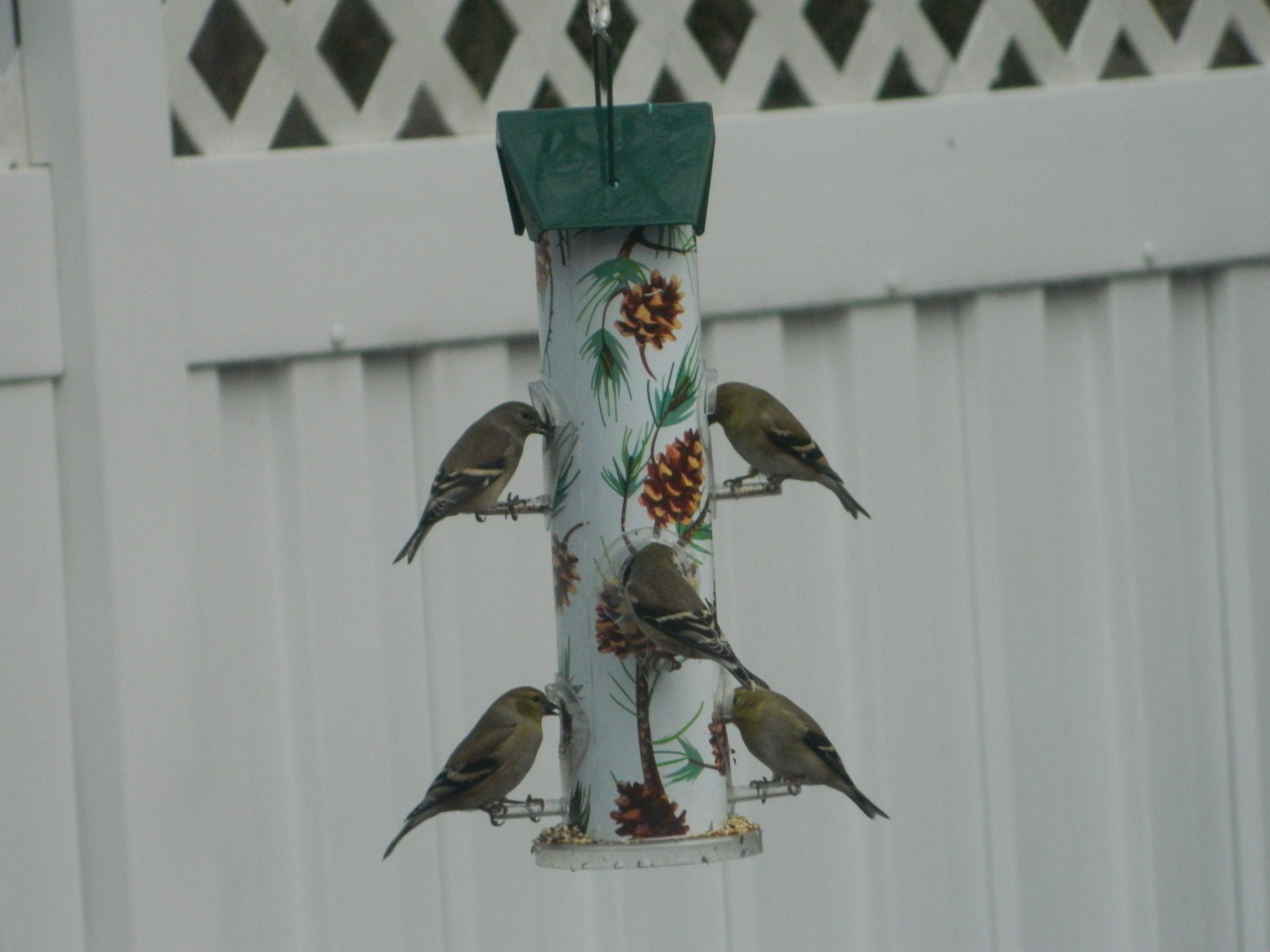 Additional Image 2