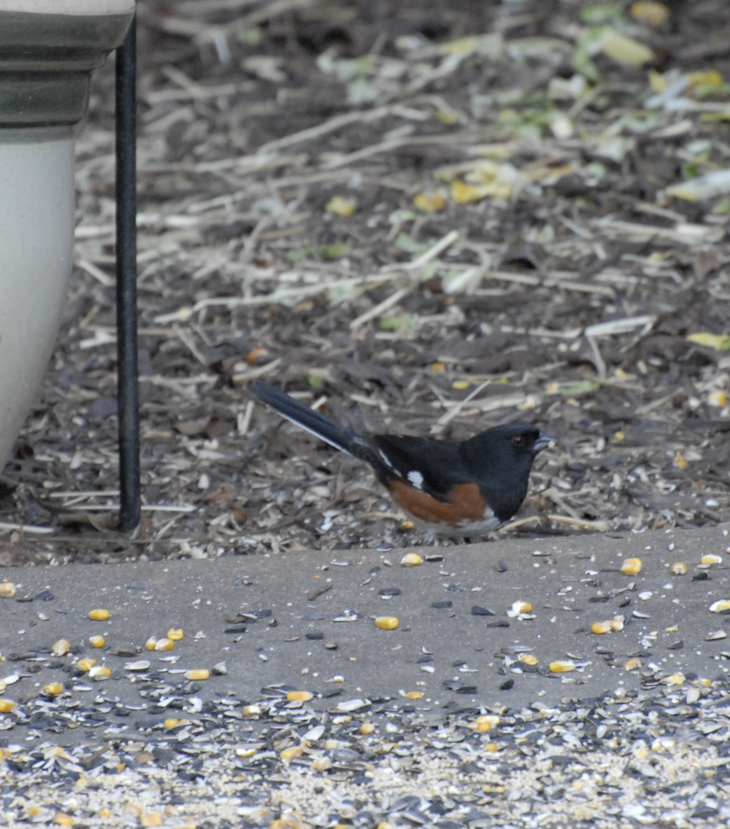 Additional Image 5