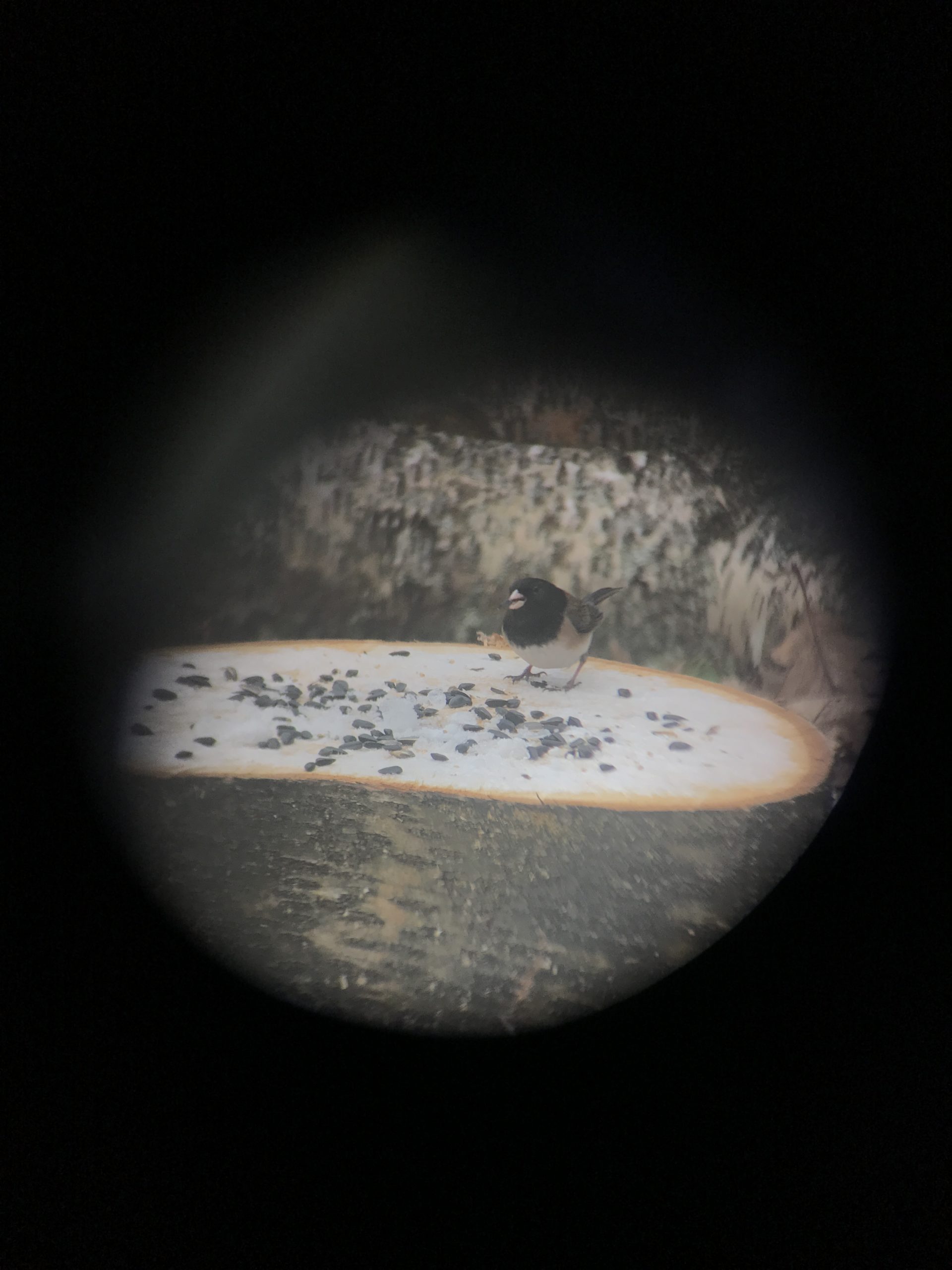 Additional Image 2