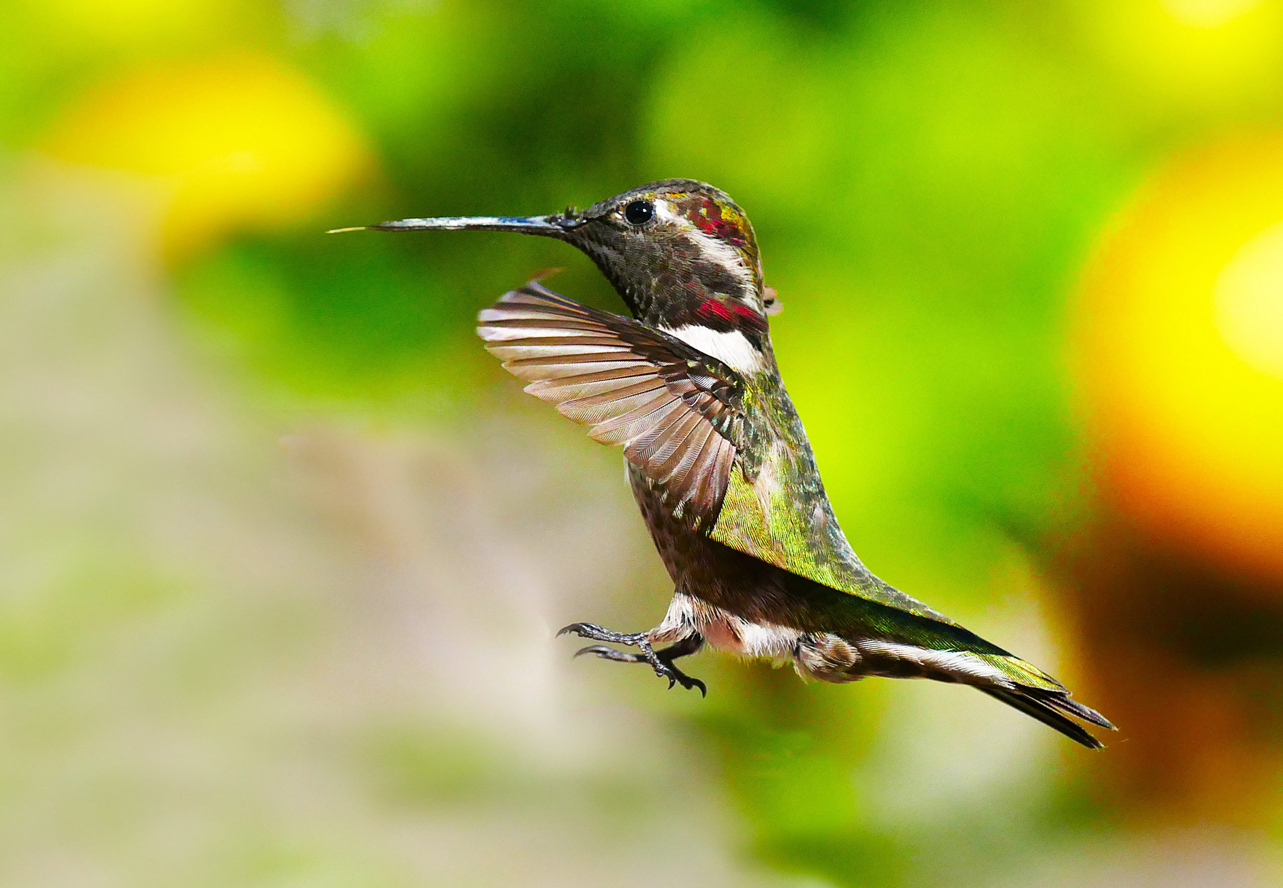 Featured Image
