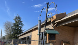 a feeding station with a school building in the background