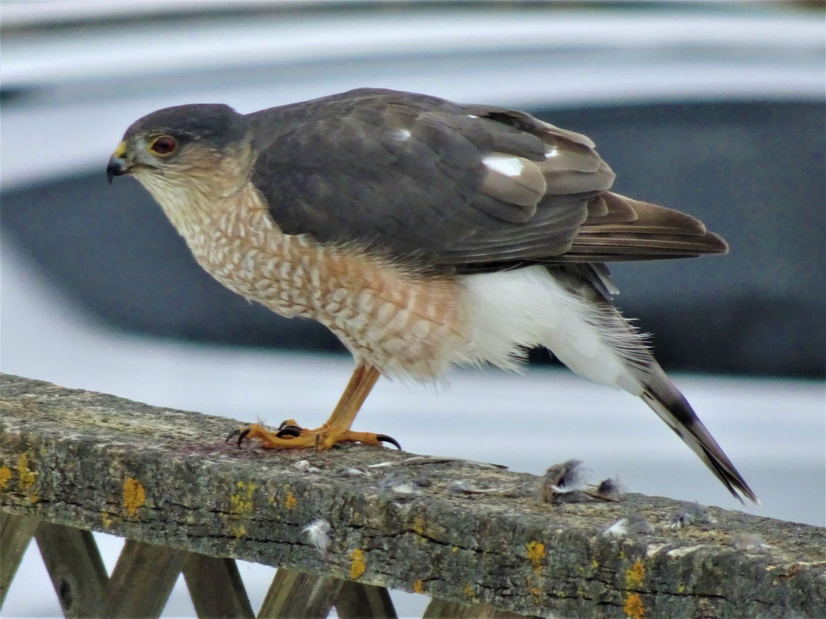 Featured Image