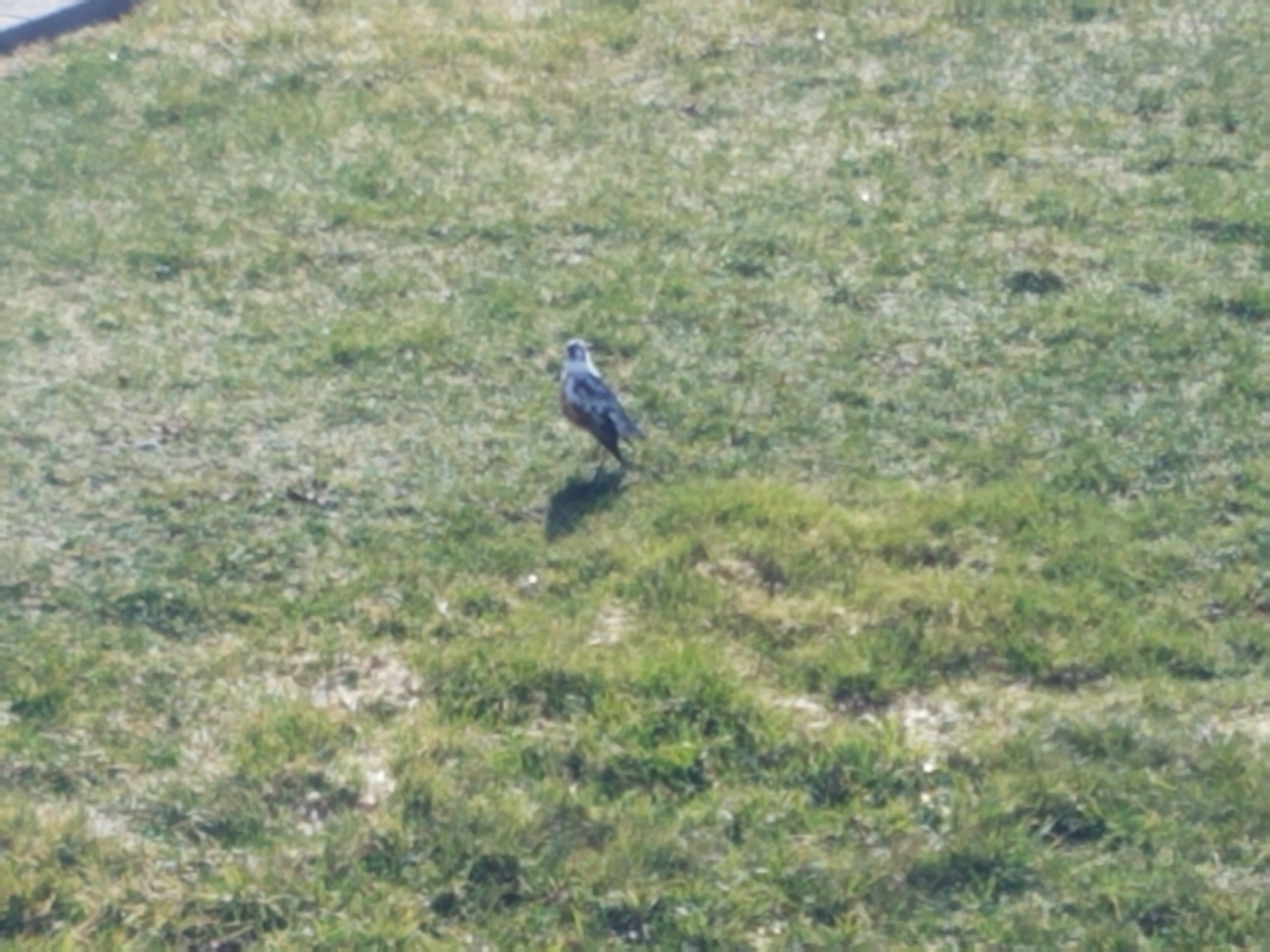 Additional Image 2