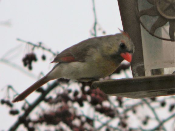 Additional Image 2