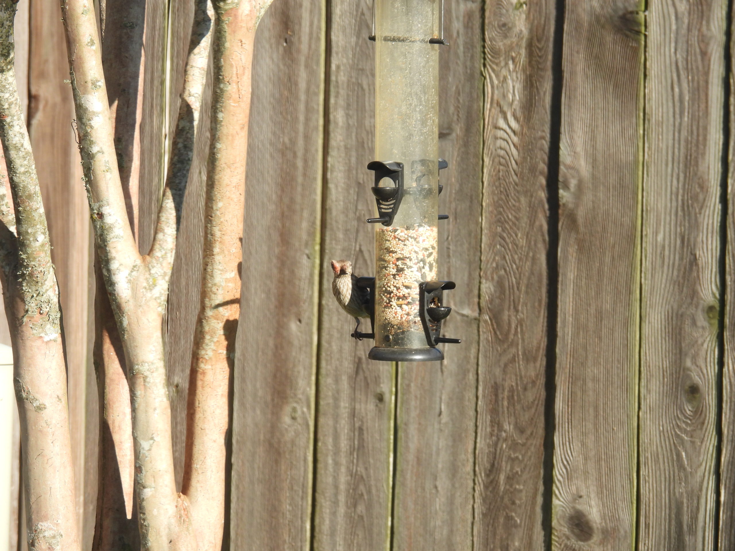 Additional Image 2